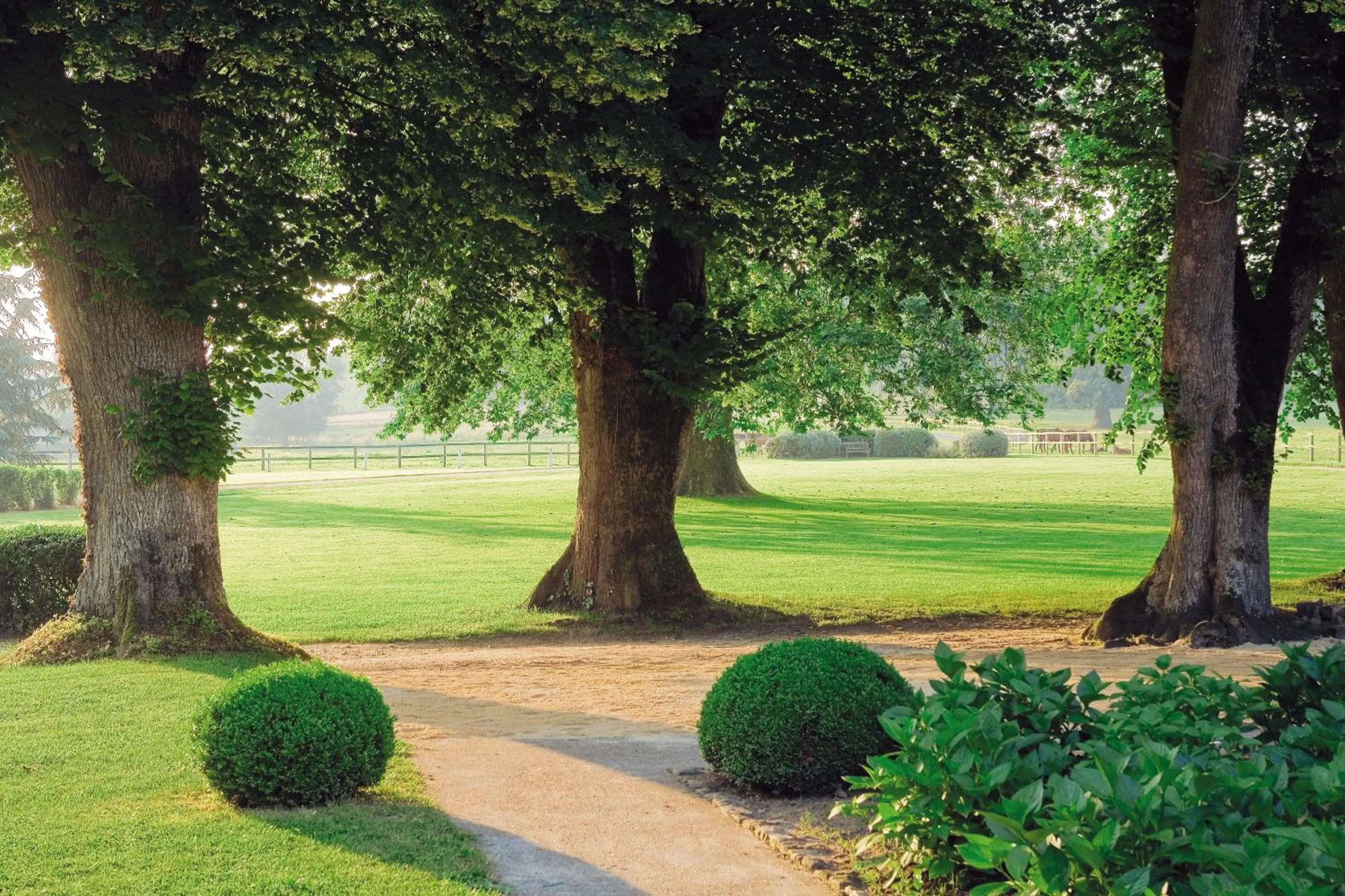 Garden in Hotel Haras De La Potardiere