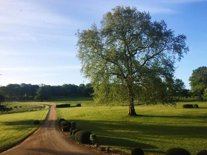 Garden view in Hotel Haras De La Potardiere