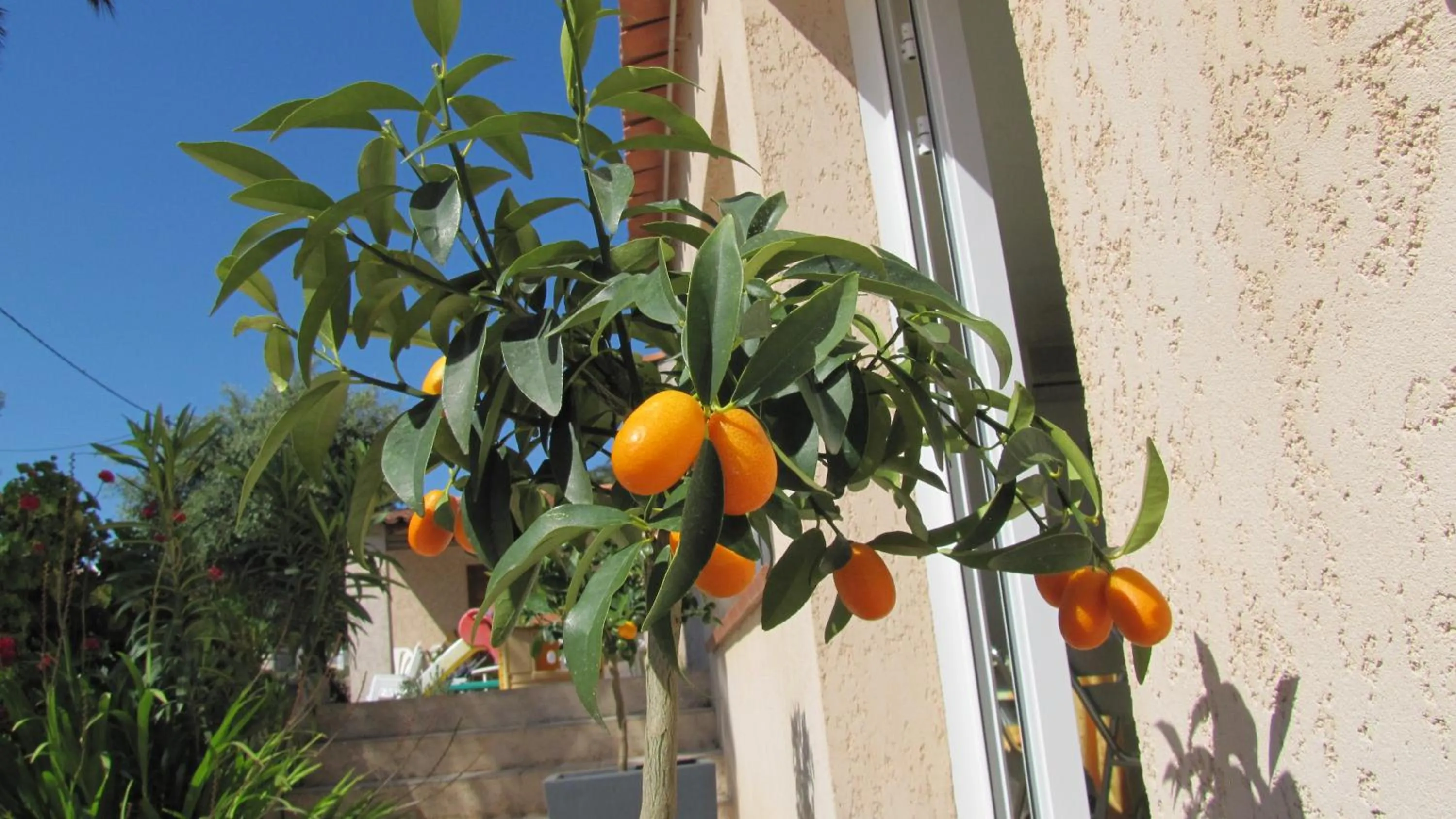 Decorative detail in Résidence Saint Michel