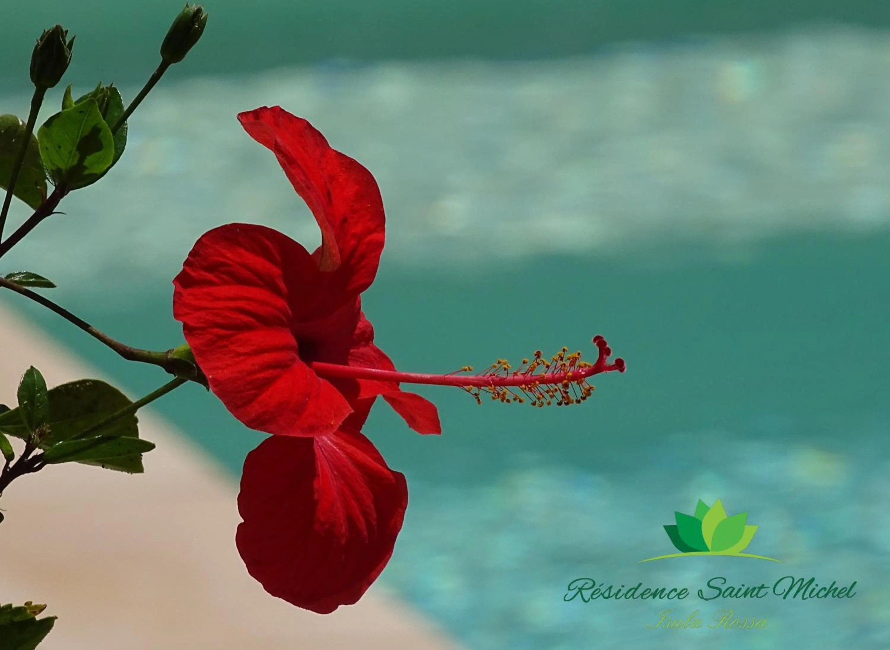 Swimming pool in Résidence Saint Michel