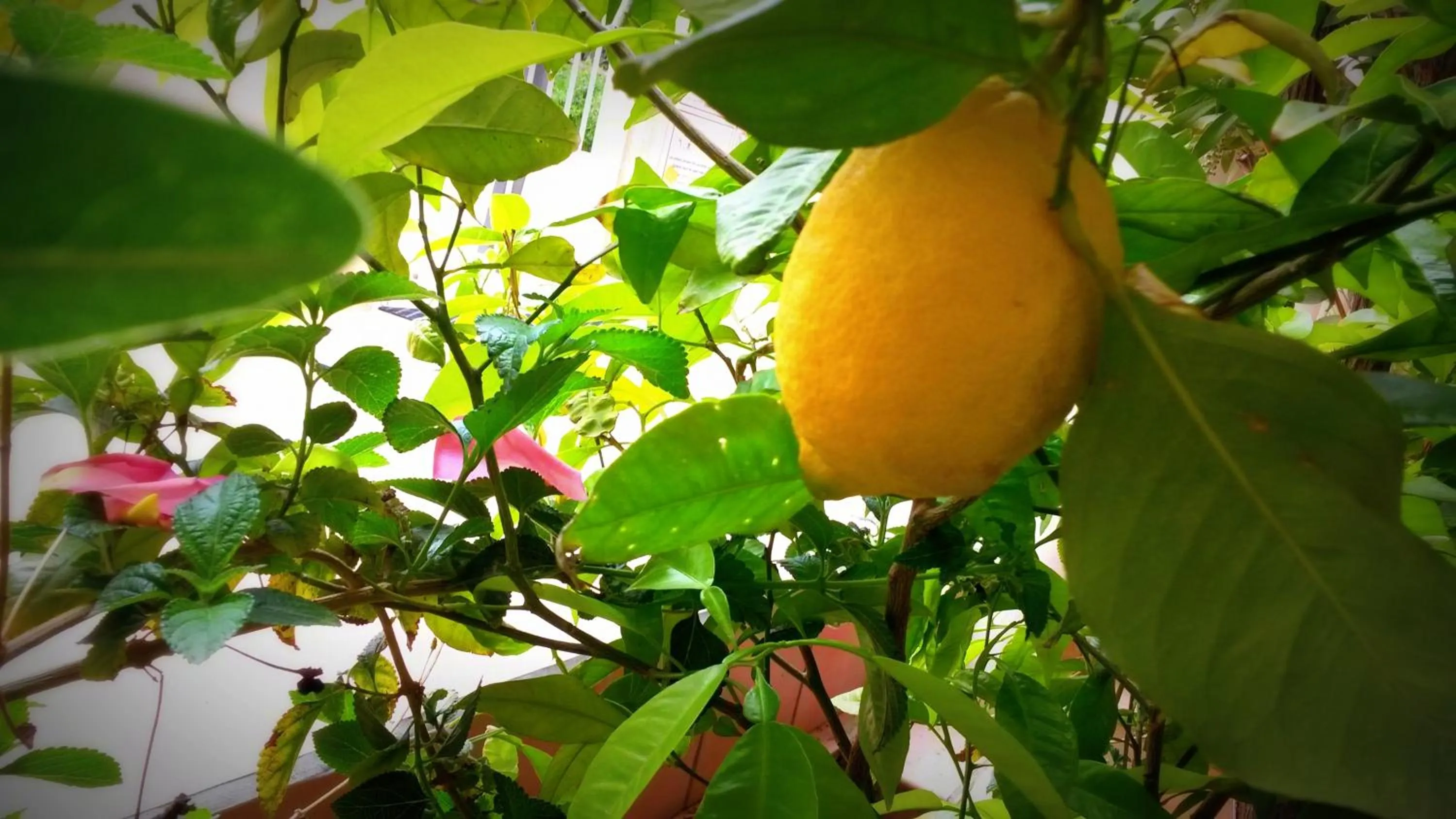 Food close-up in Résidence Saint Michel