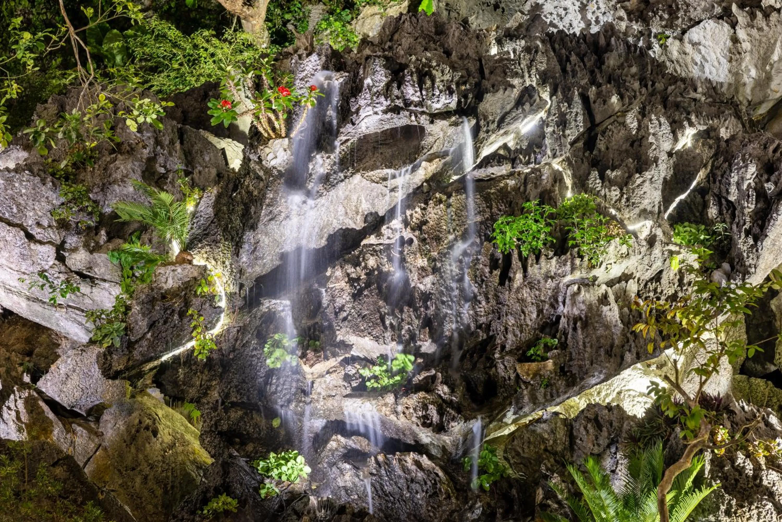 Neighbourhood in Cat Ba Serena Homestay And Swimming Pool