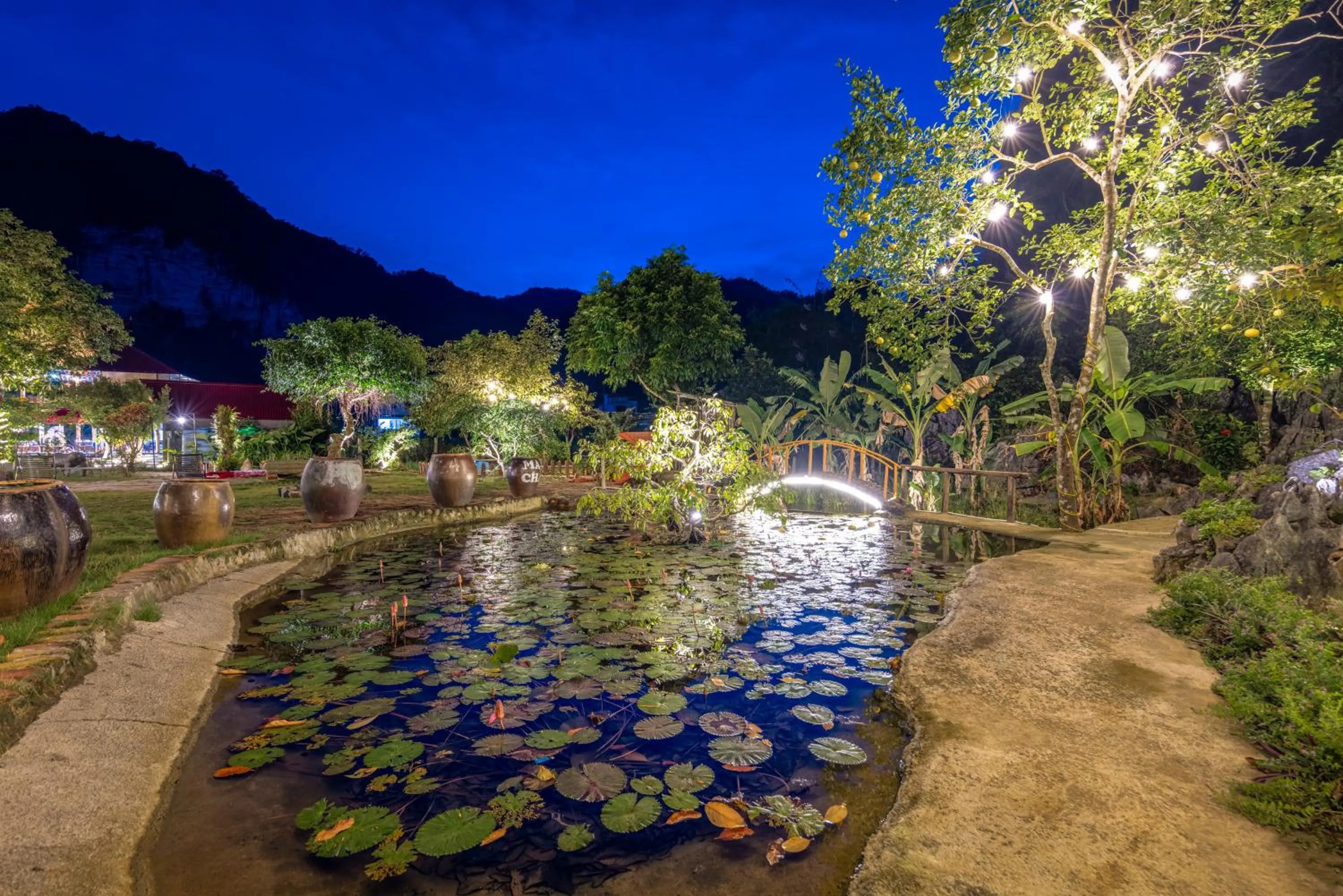 Decorative detail in Cat Ba Serena Homestay And Swimming Pool