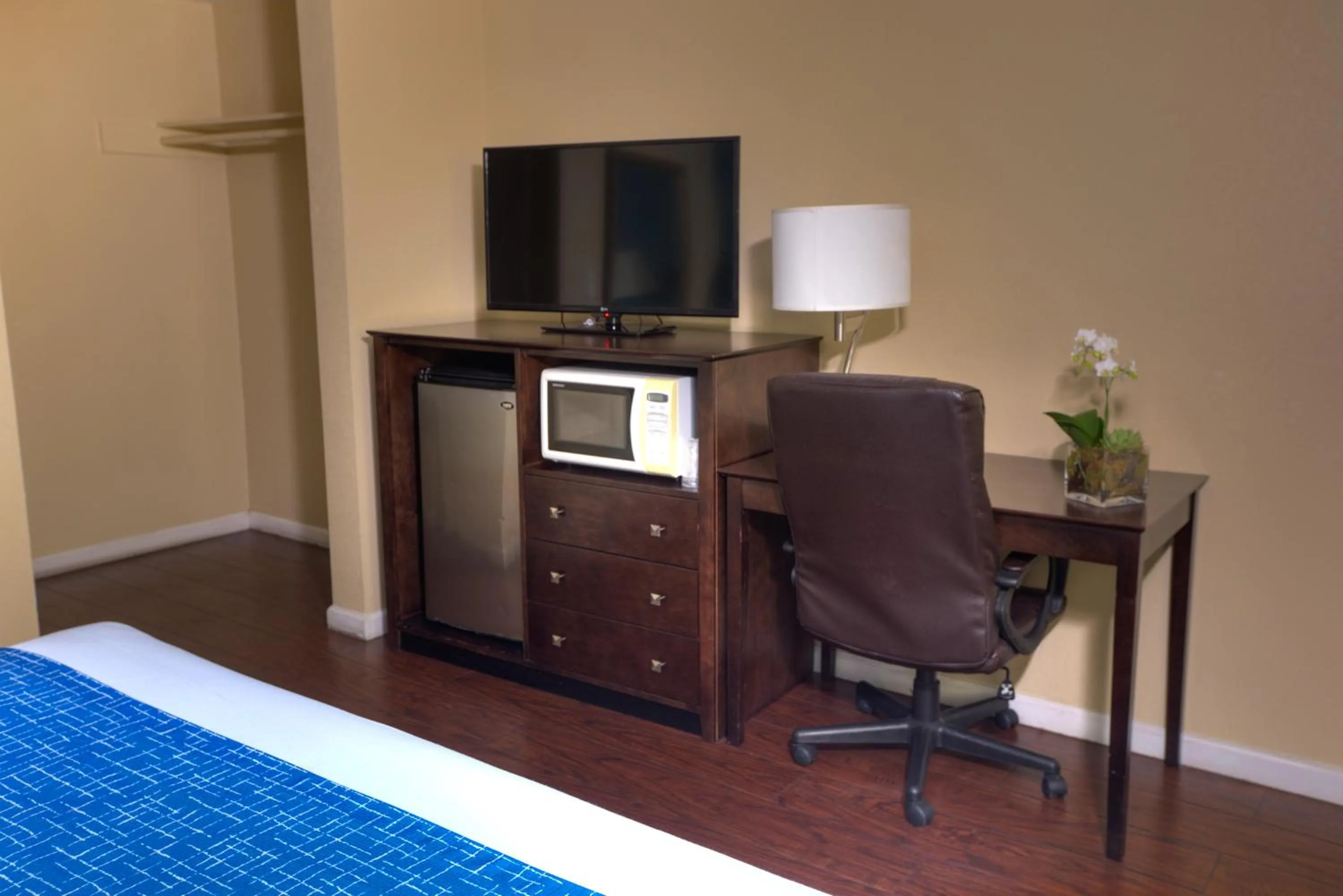 TV and multimedia in Sunrise Inn San Diego