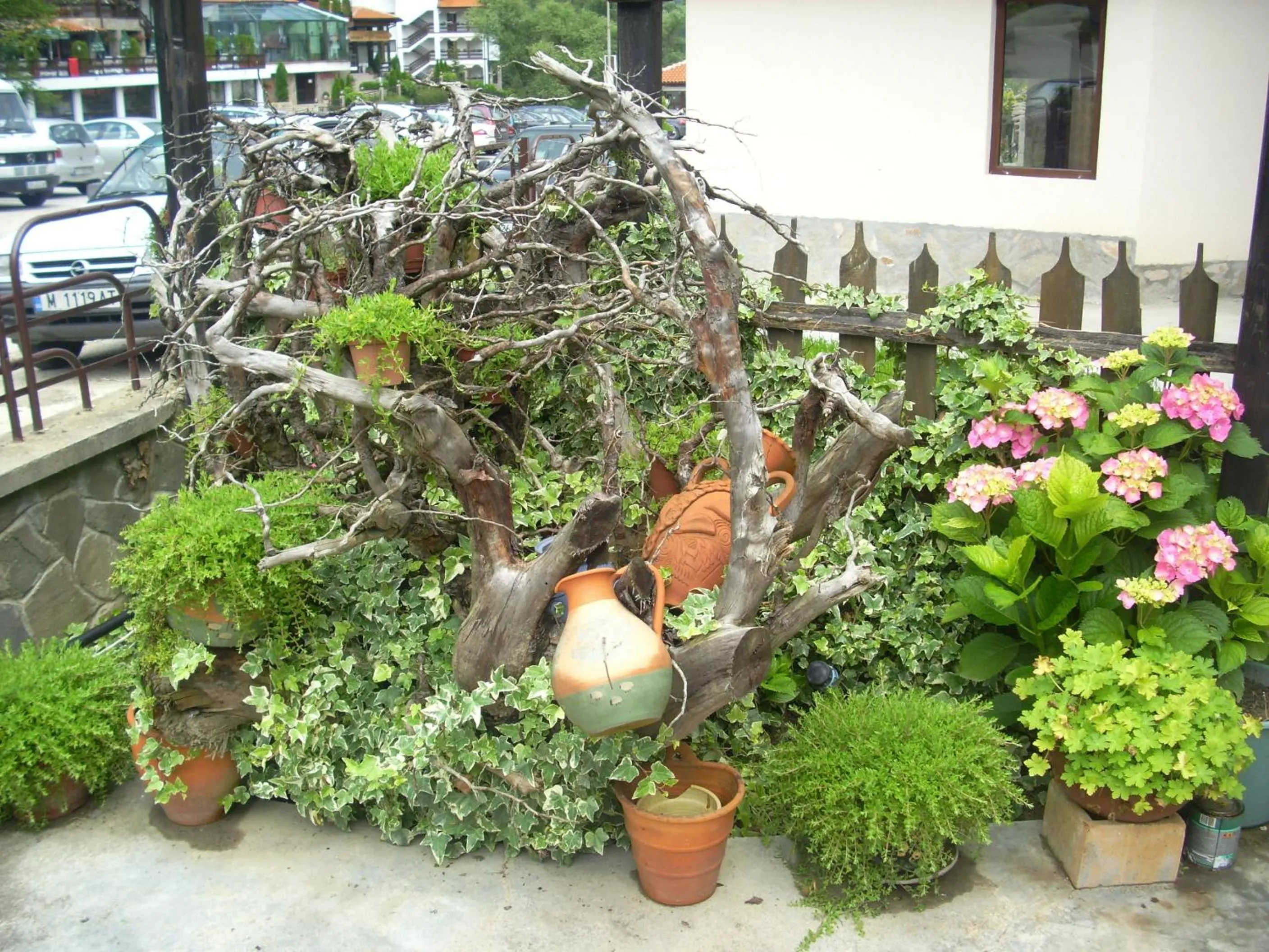 Natural landscape in Blyan Family Hotel