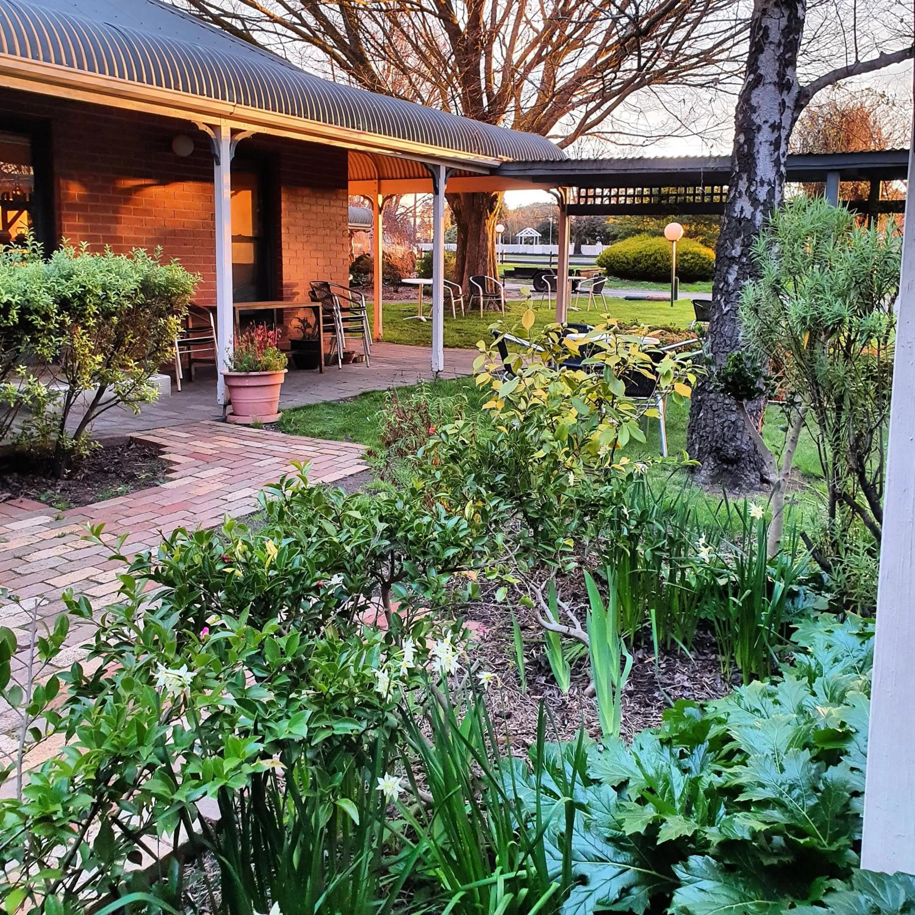 Garden view in The Lancefield Lodge