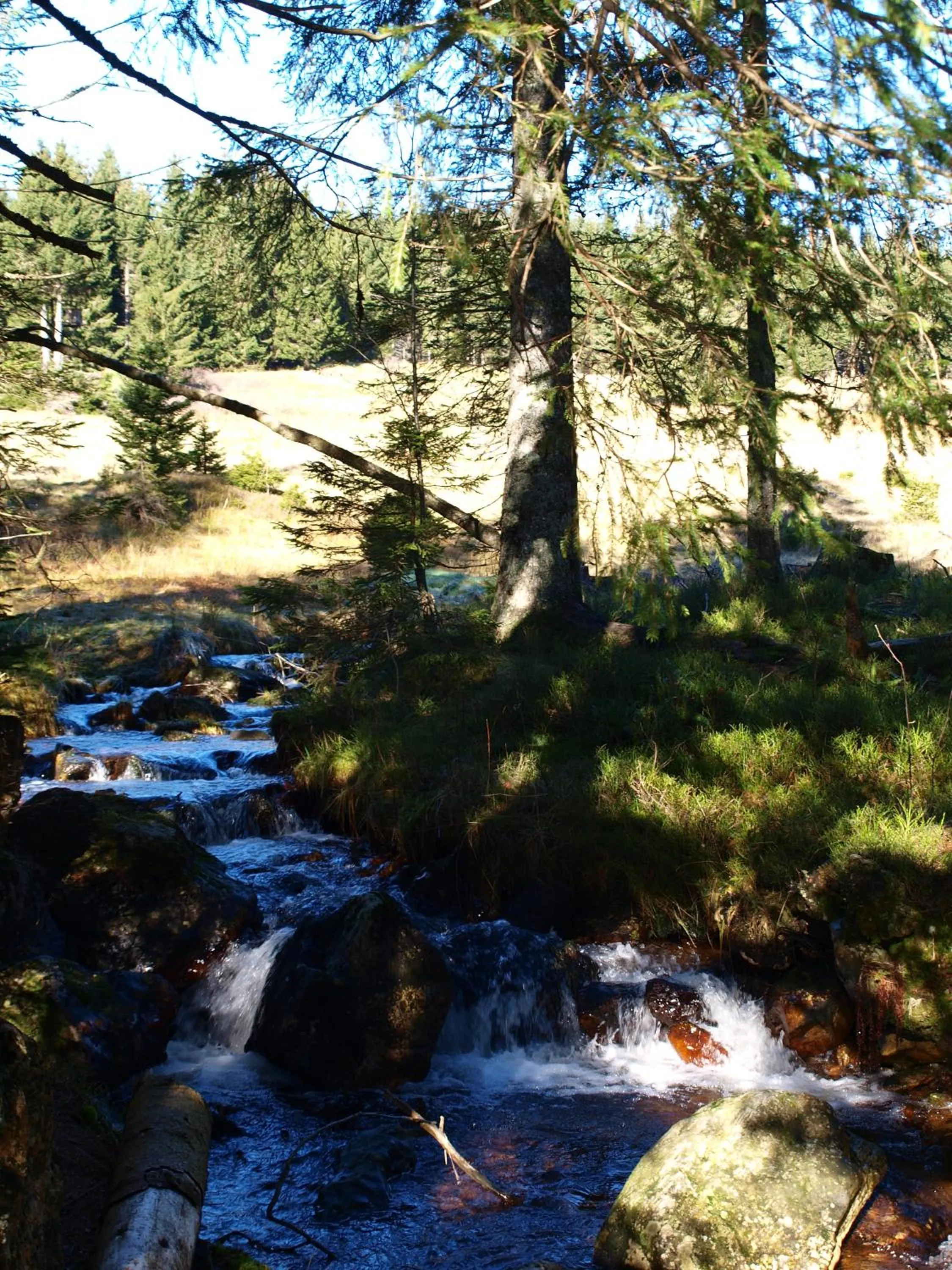 Garden in Hotel Restaurant Peterle