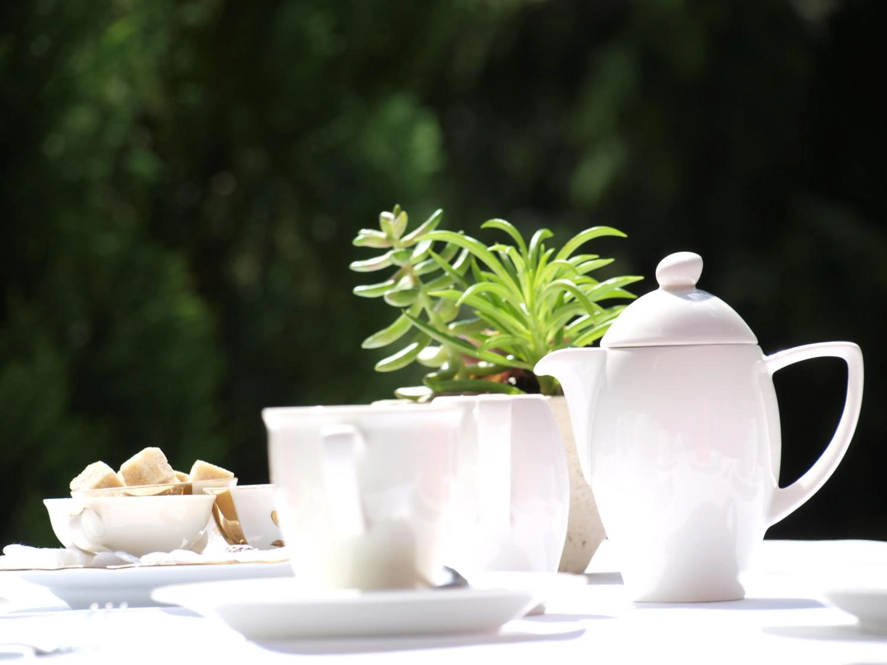 Restaurant/places to eat in Hotel Restaurant Peterle