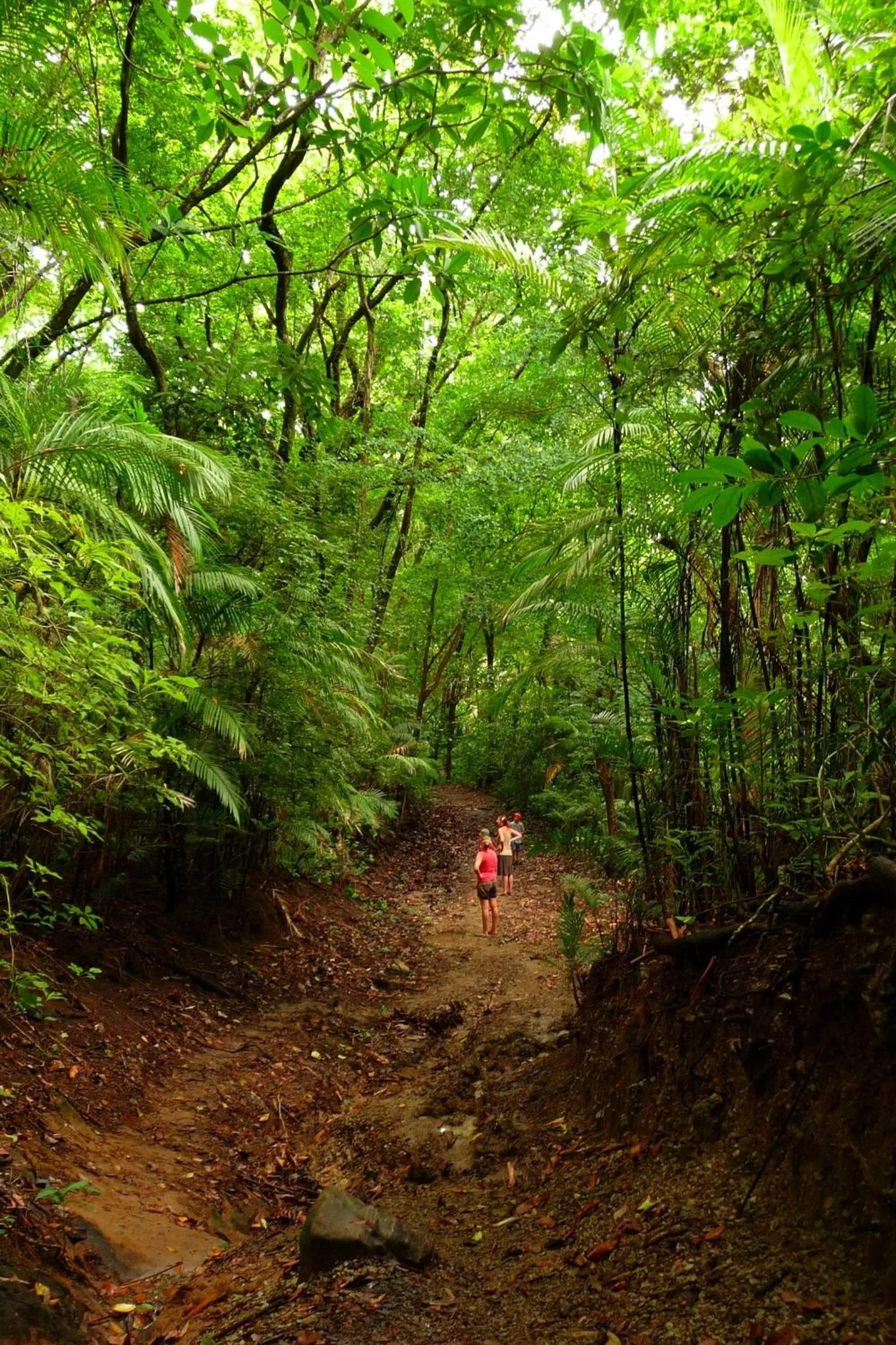Area and facilities in Samara Pacific Lodge