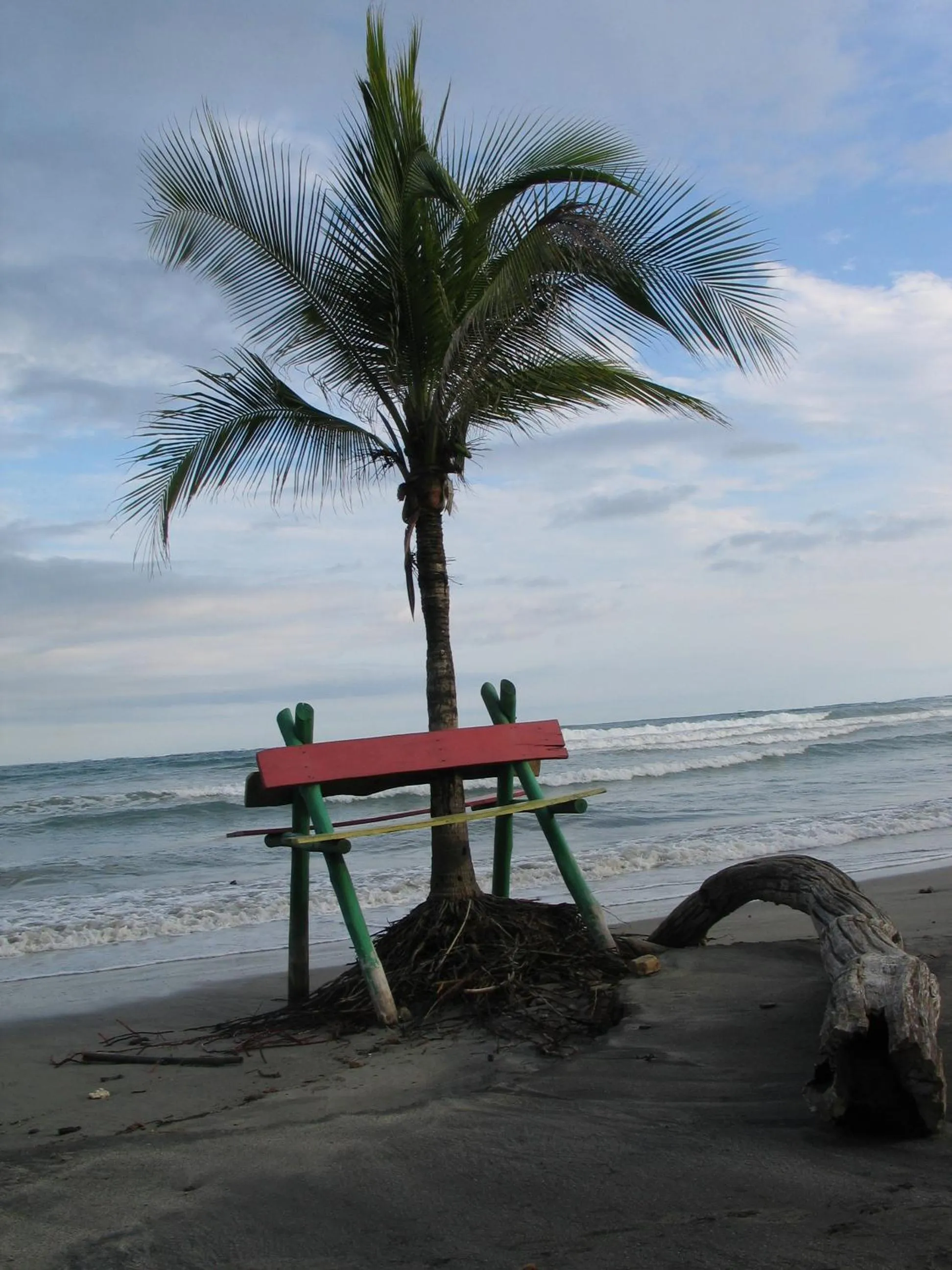 Area and facilities in Samara Pacific Lodge