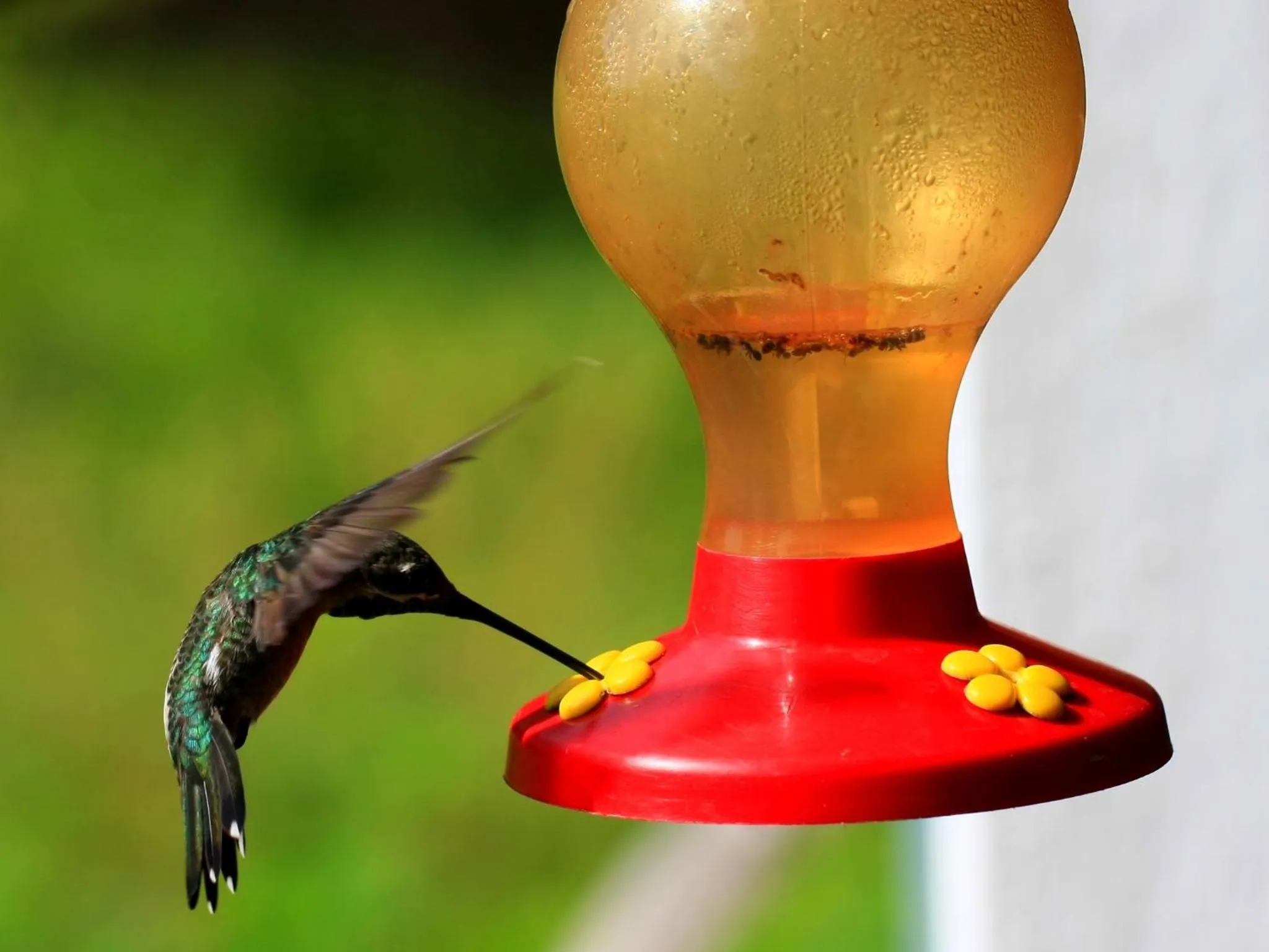 Area and facilities in Samara Pacific Lodge