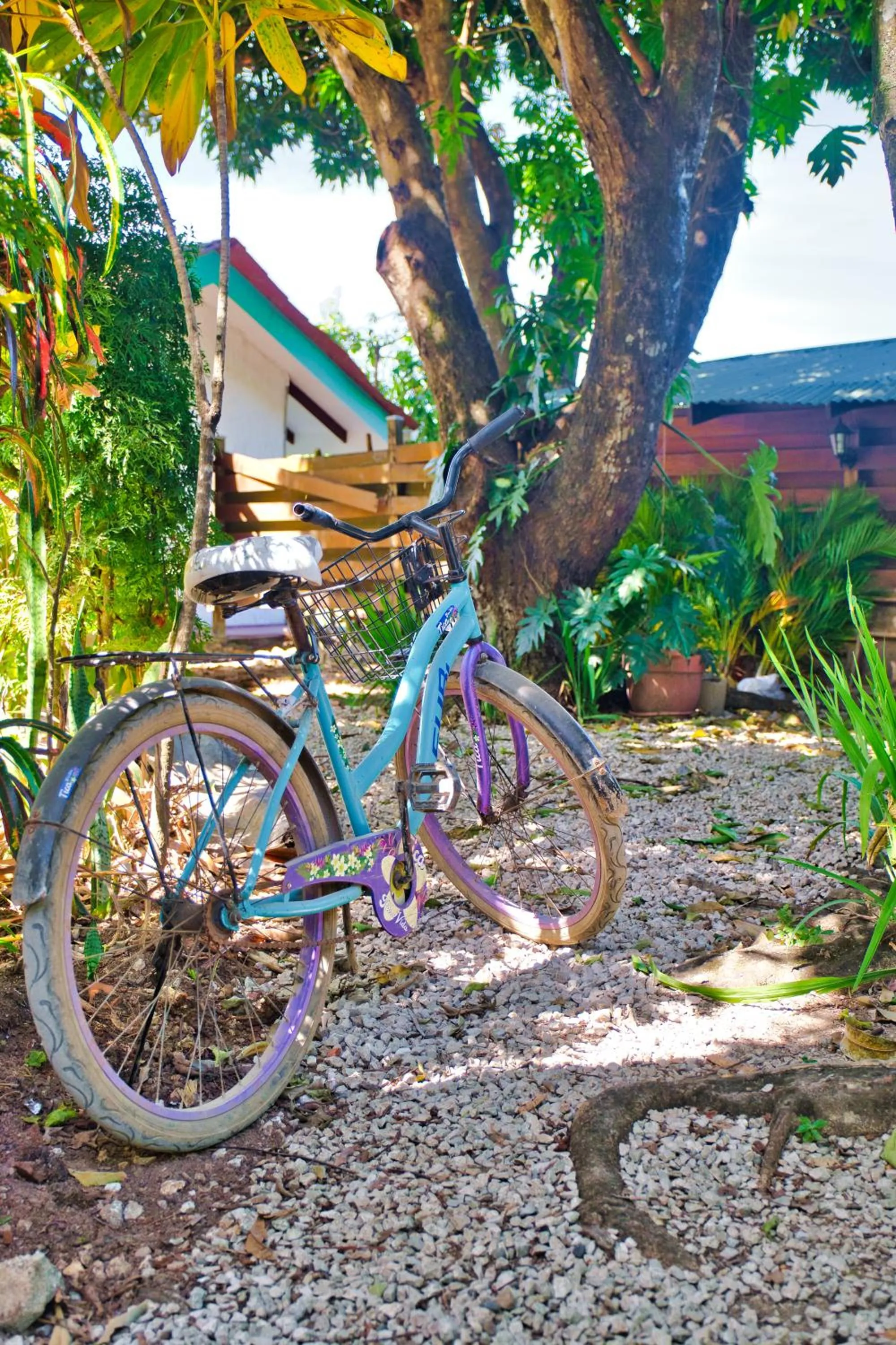 Cycling in Samara Pacific Lodge