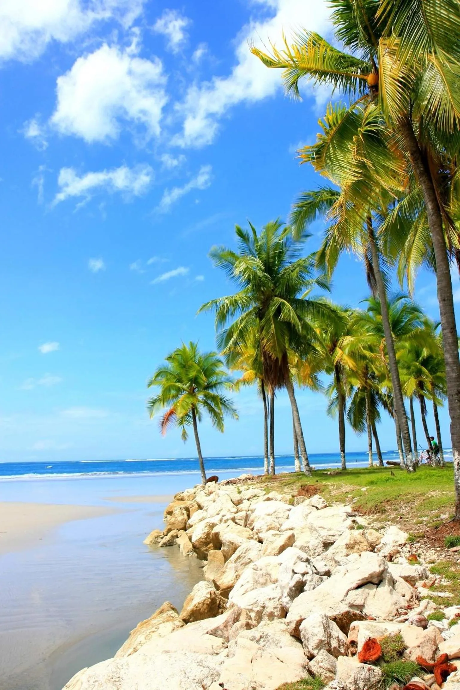 Area and facilities in Samara Pacific Lodge