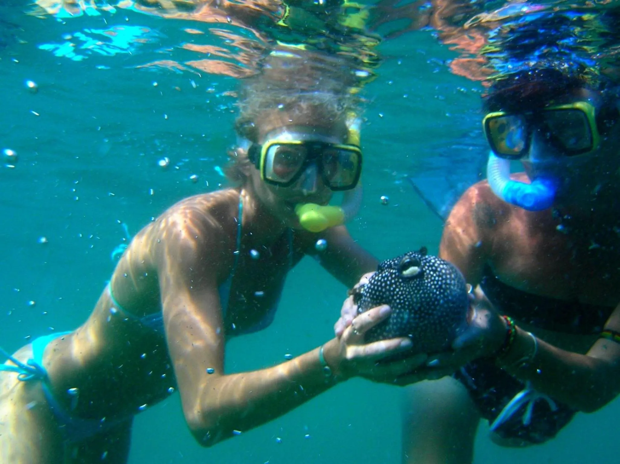 Snorkeling in Samara Pacific Lodge