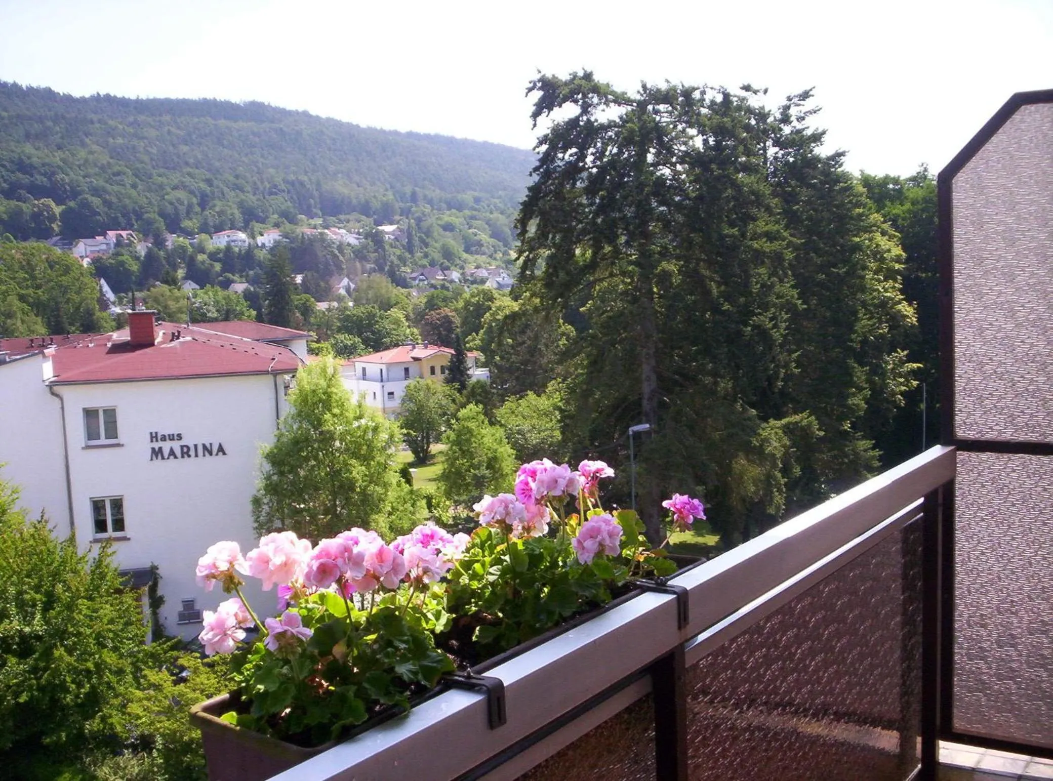 View (from property/room) in Hotel Olympia