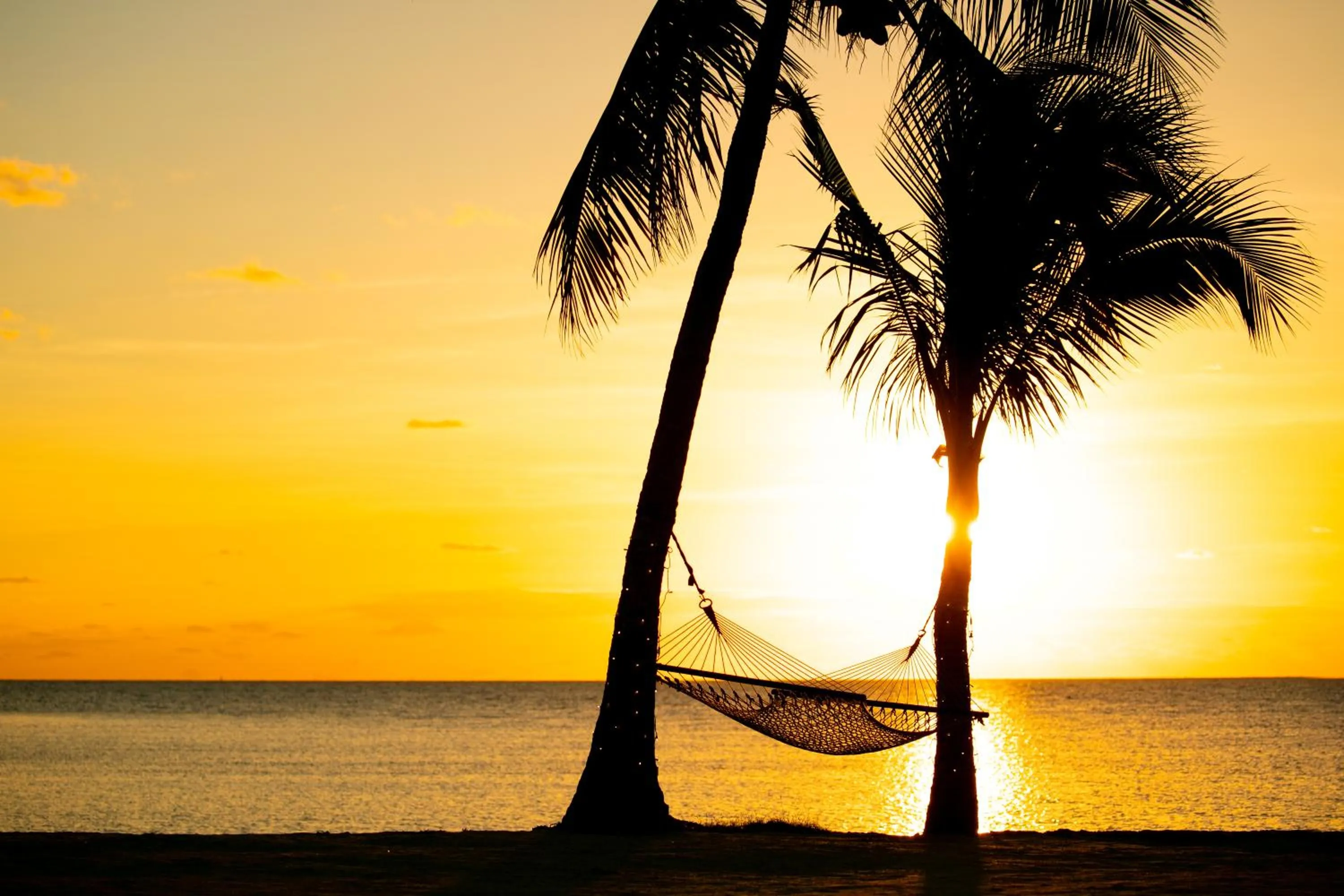 Ragged Edge Resort & Marina