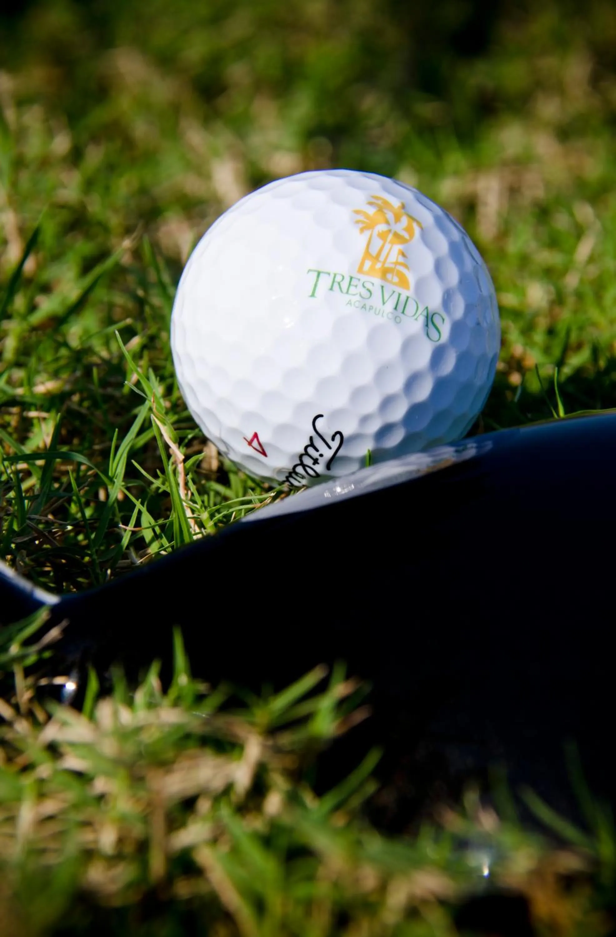 Property logo or sign in Hotel Tres Vidas Acapulco