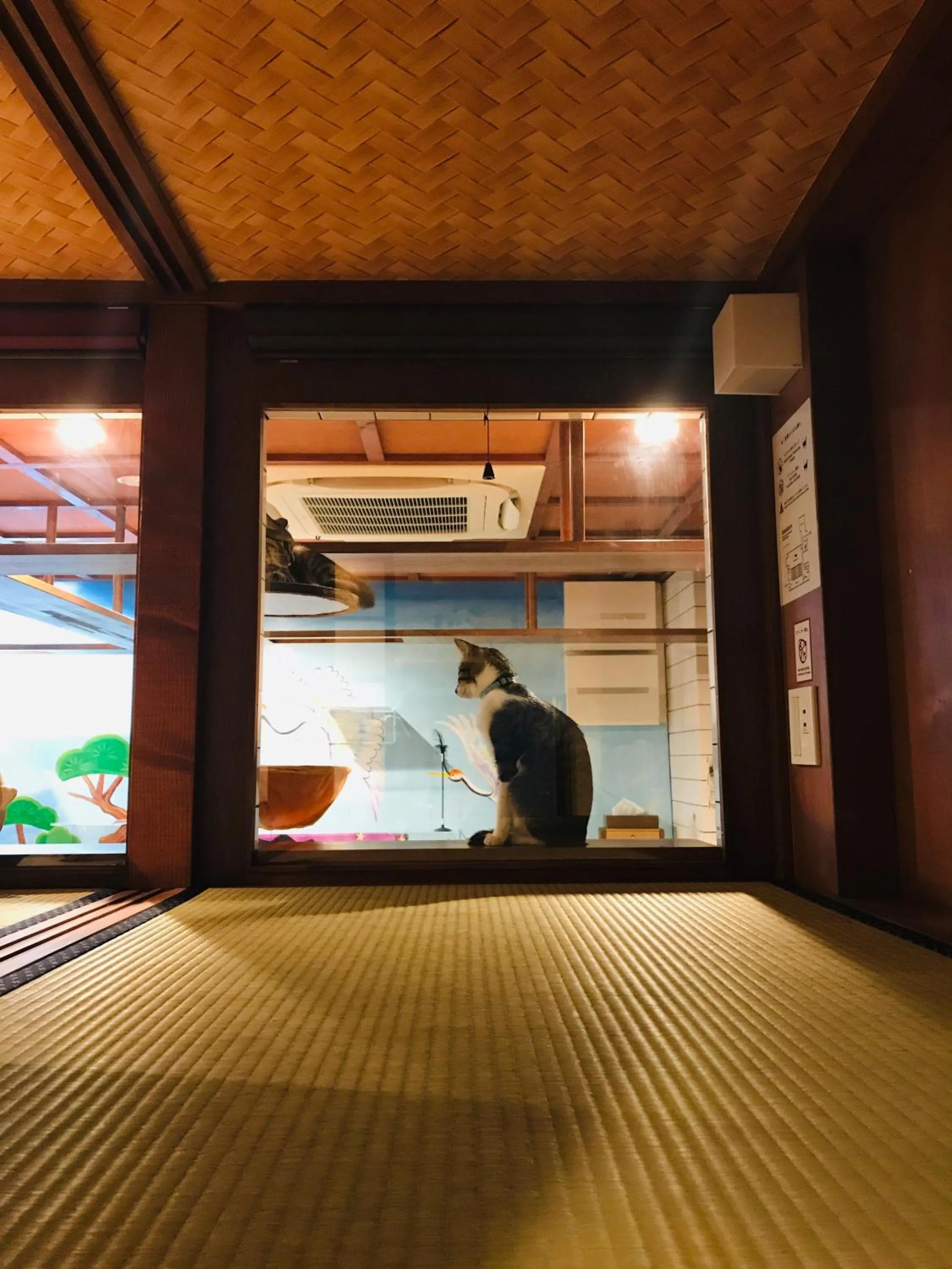 Bed in Cat Spa & Cat Ryokan by Neco Republic Osaka