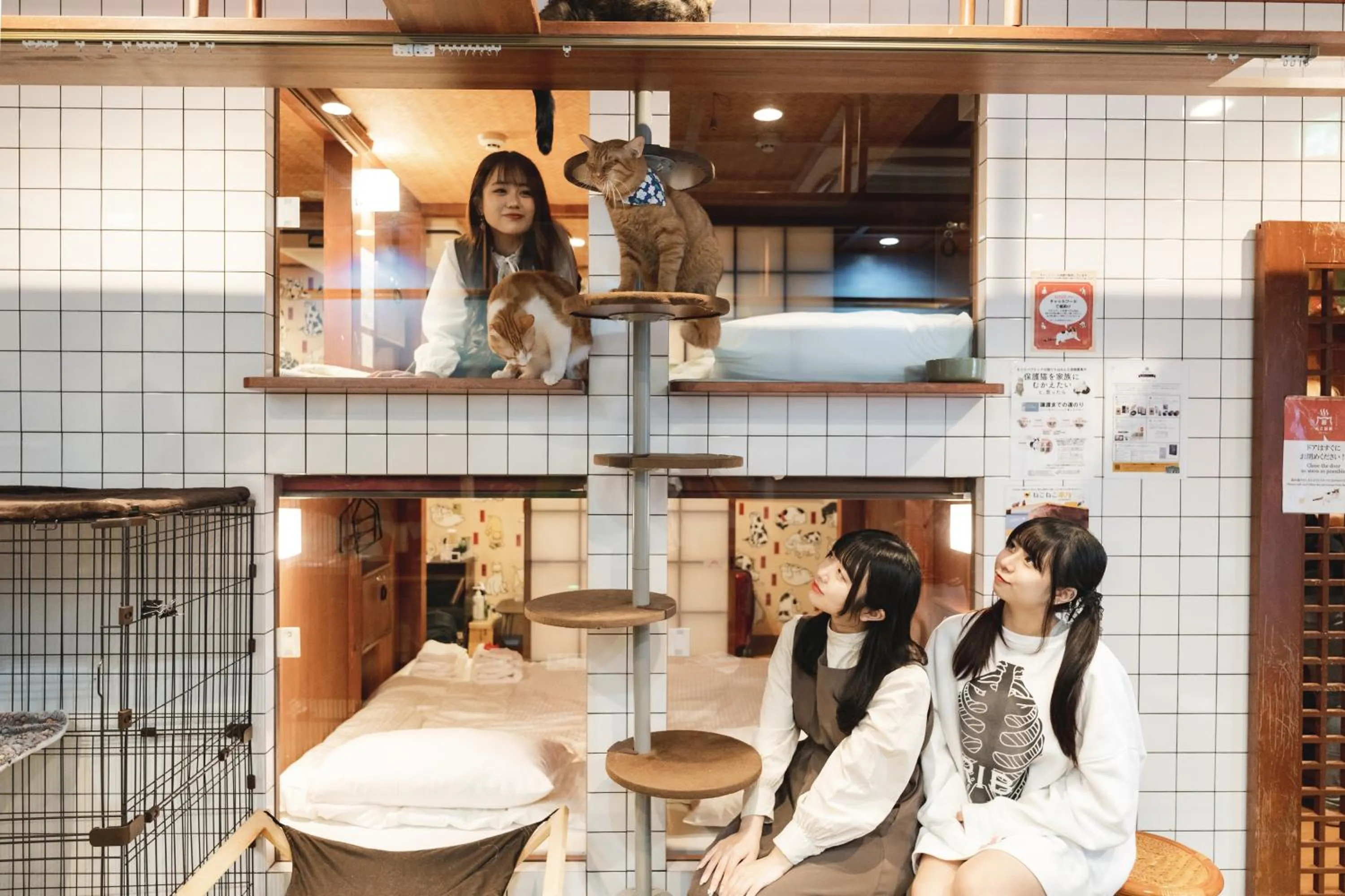 View (from property/room) in Cat Spa & Cat Ryokan by Neco Republic Osaka