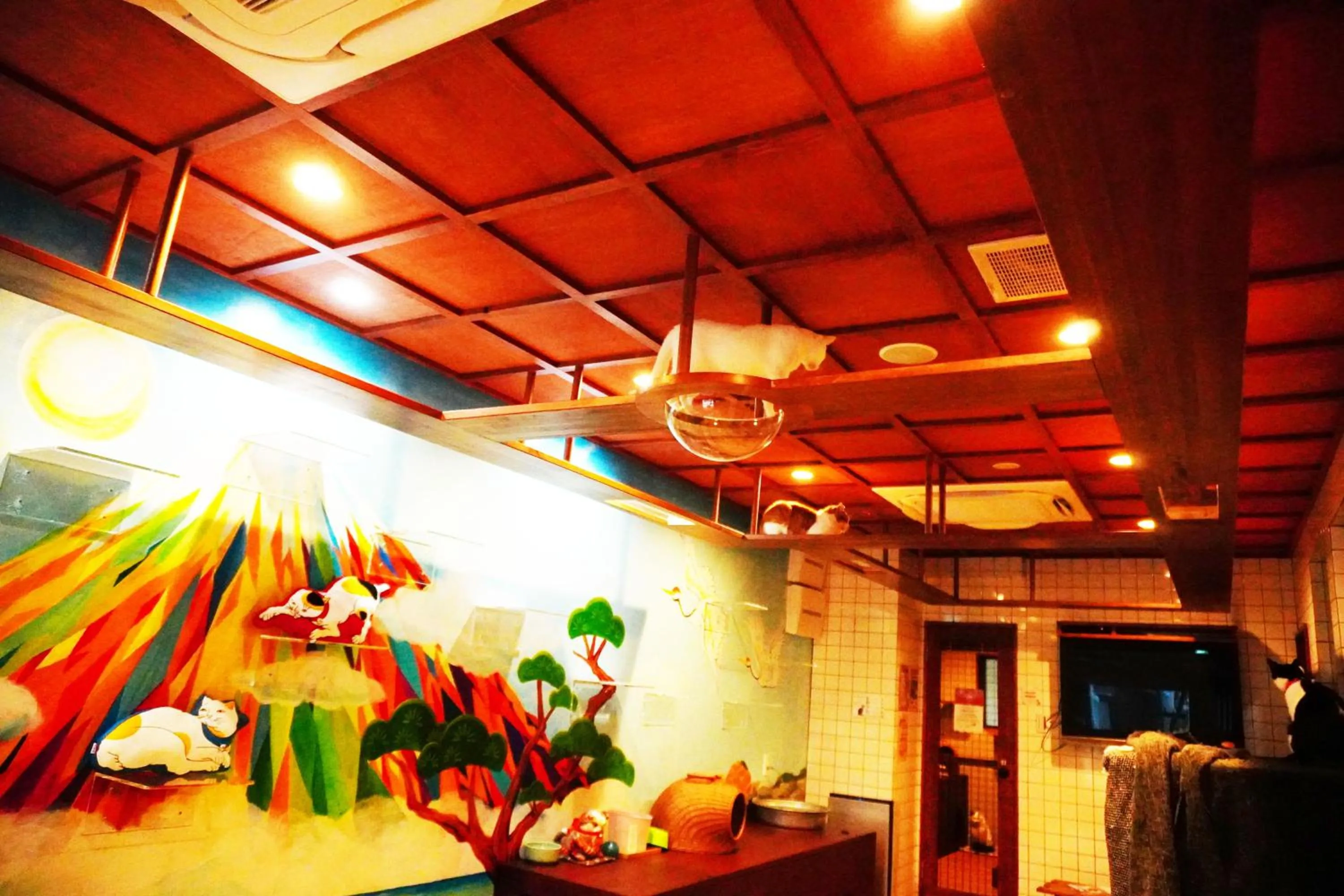 Area and facilities in Cat Spa & Cat Ryokan by Neco Republic Osaka