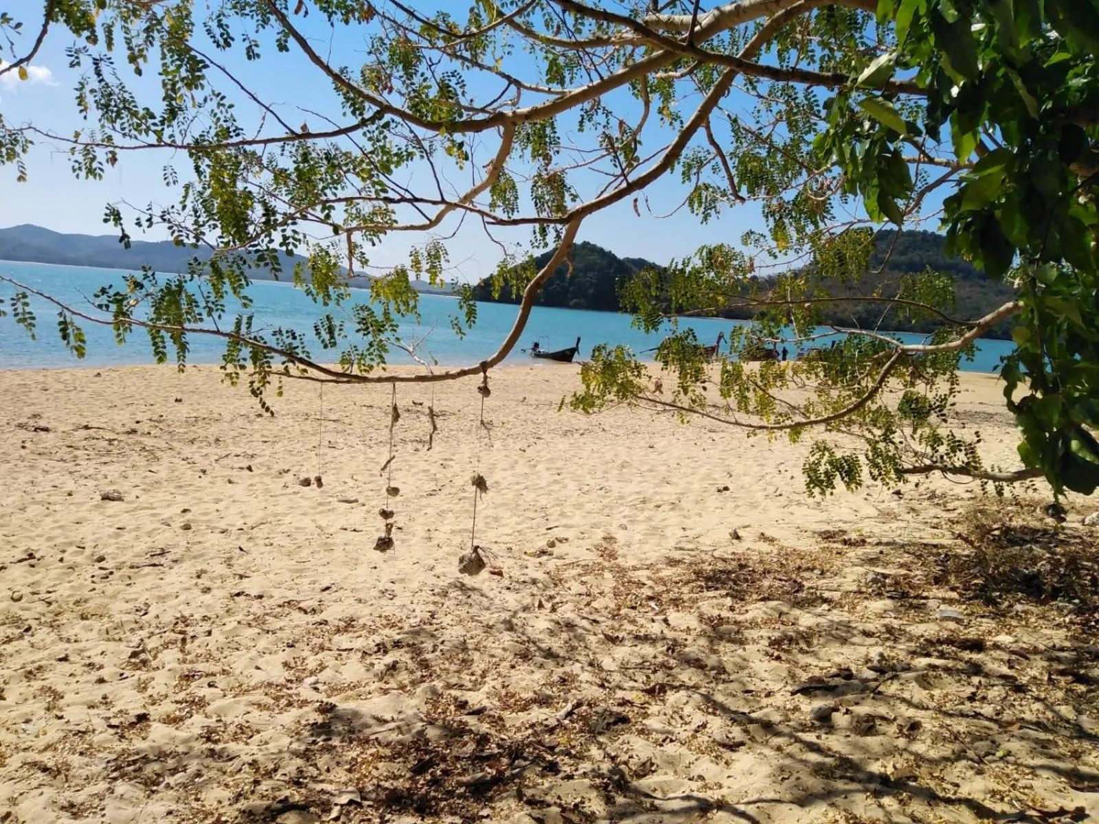 Antonio's Ko Yao Noi