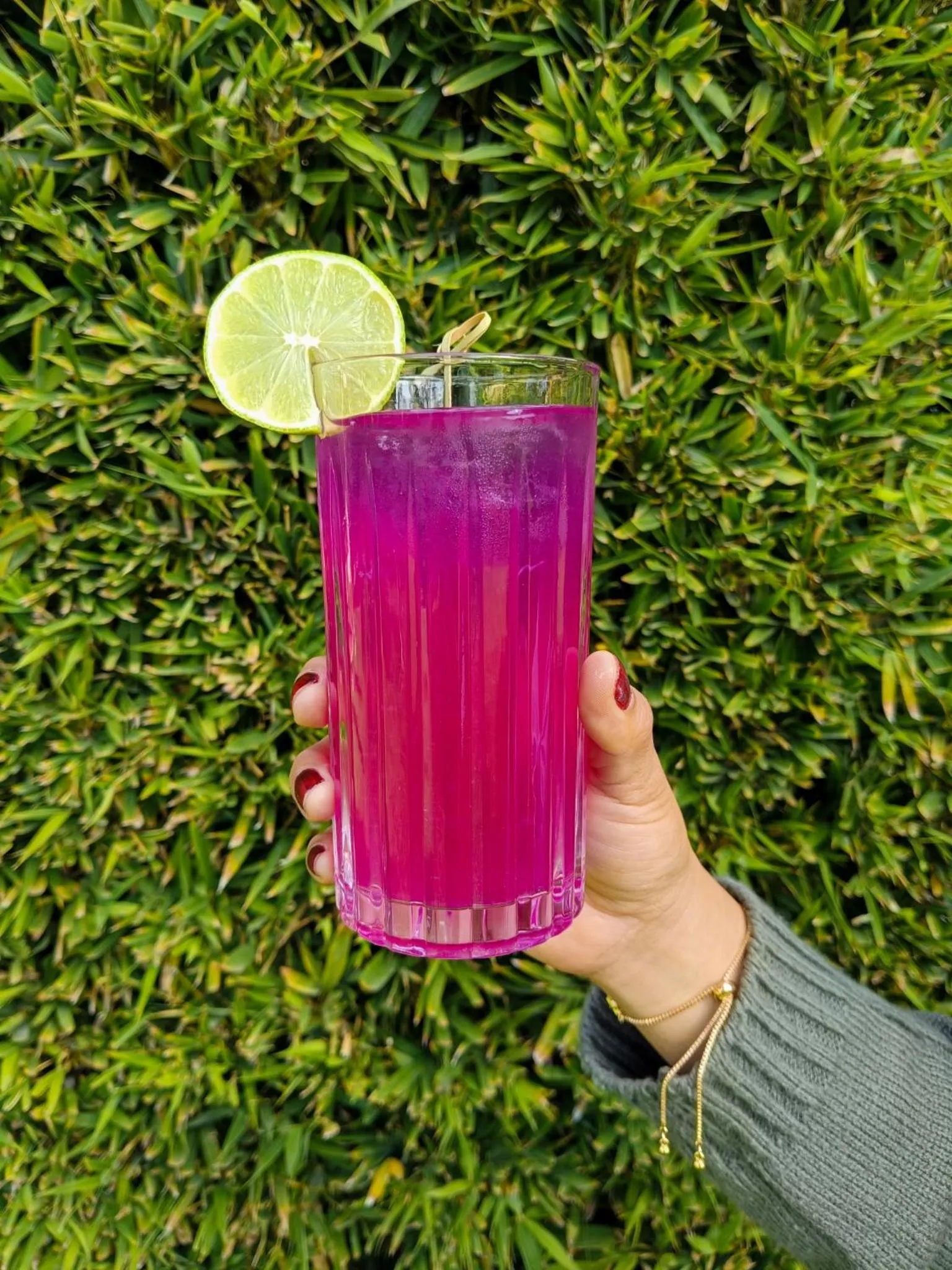 Drinks in Posada Los Alcatraces