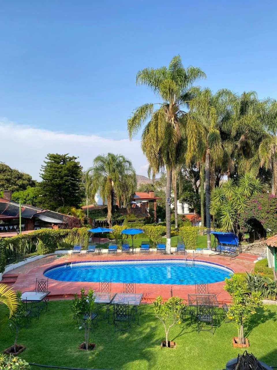 Pool view in Posada Los Alcatraces
