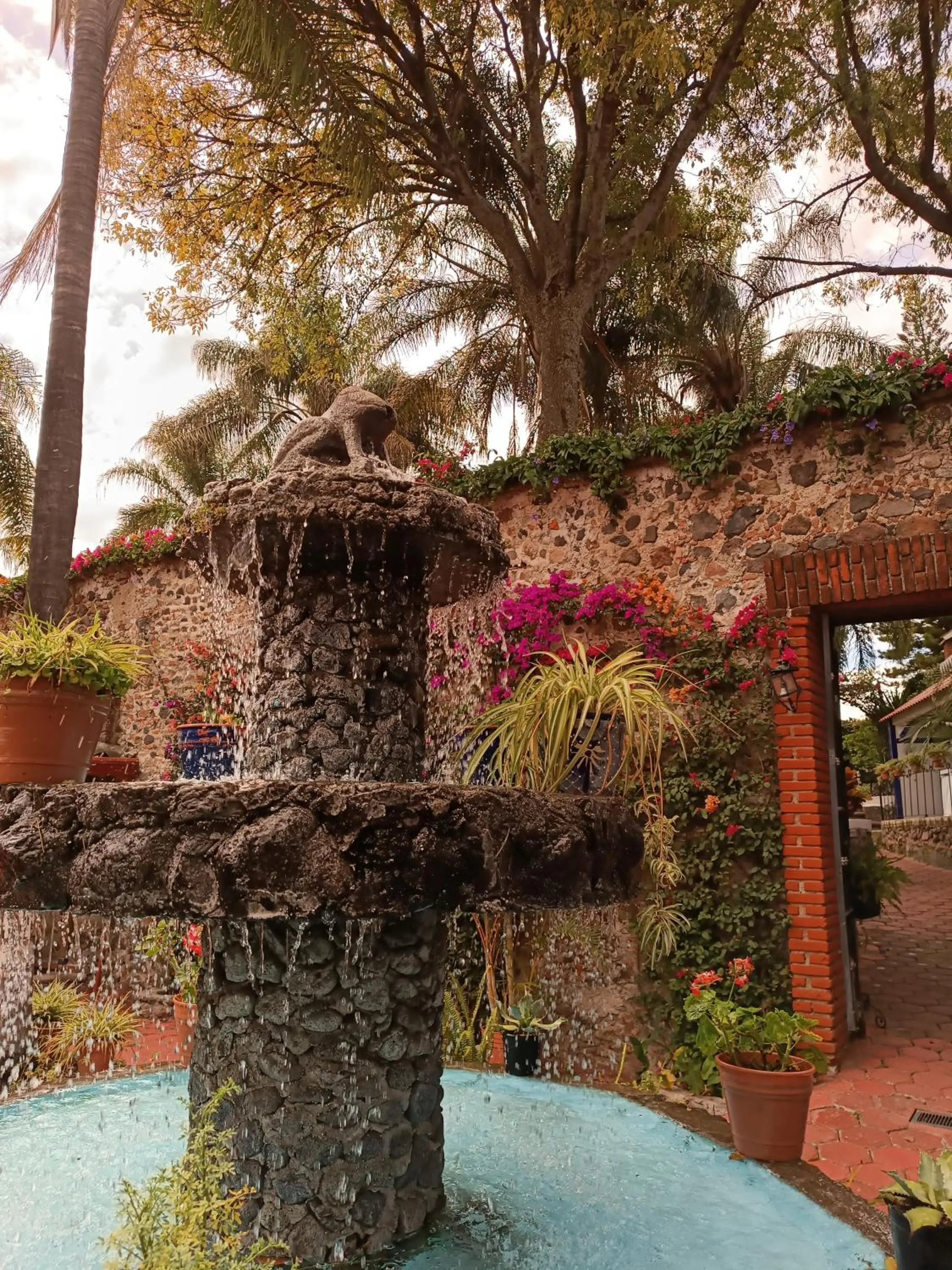 Patio in Posada Los Alcatraces