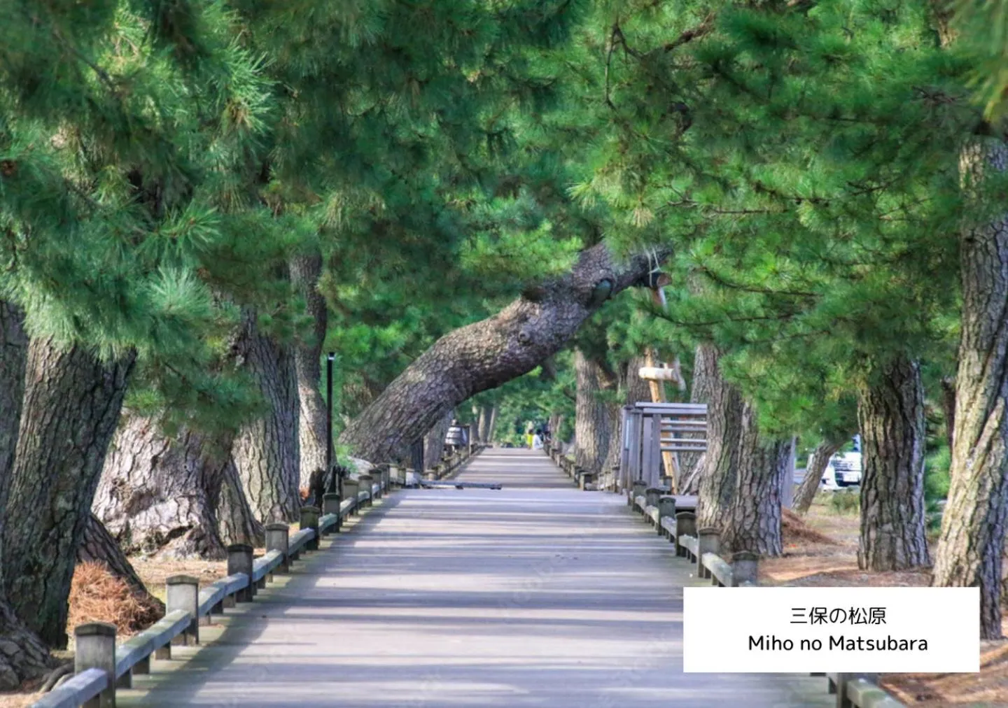 Nearby landmark in ビル泊 -Birupaku Decentralized Hotel-