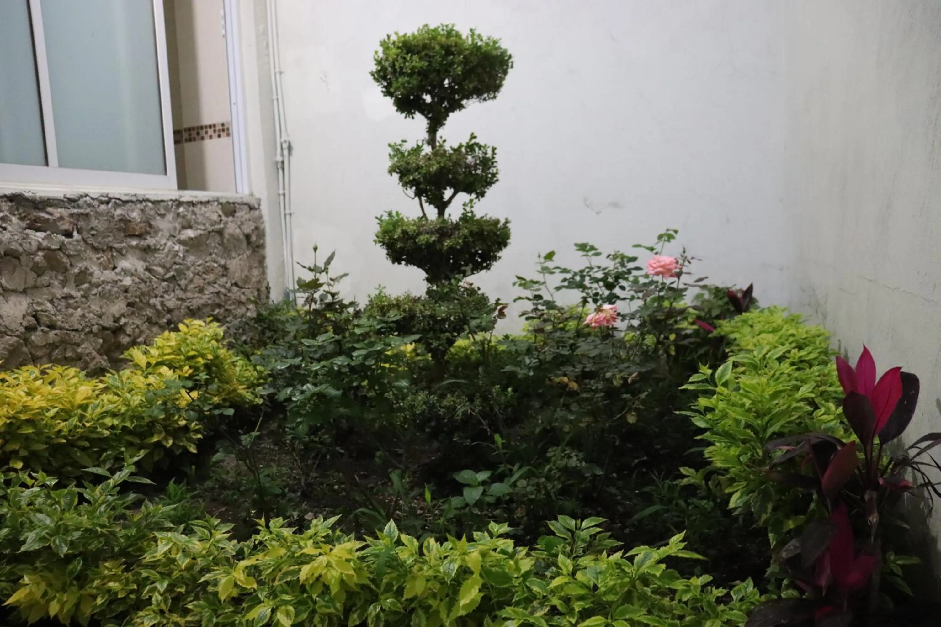 Garden view in Hotel Carnaval