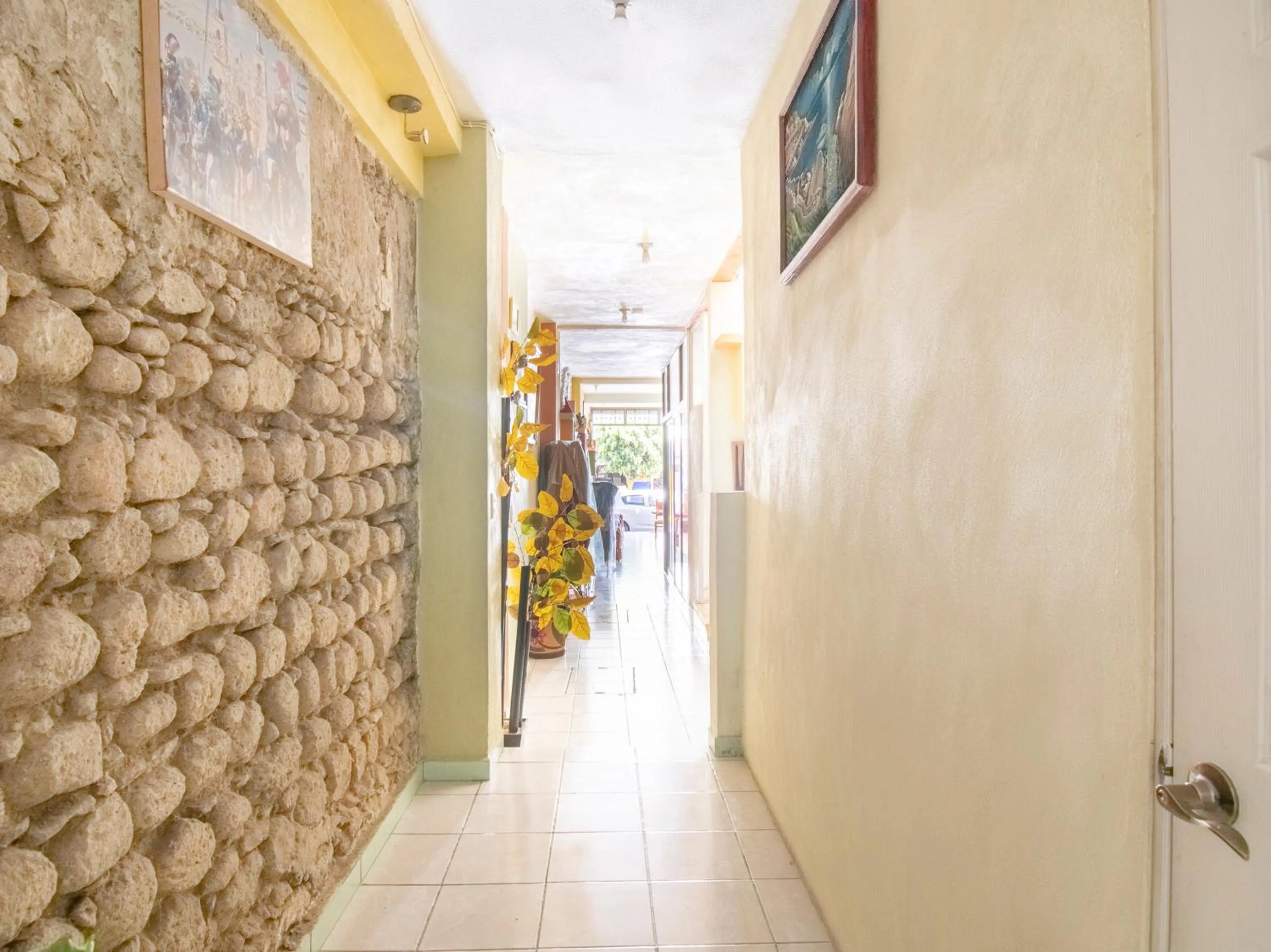 Area and facilities in Hotel Carnaval