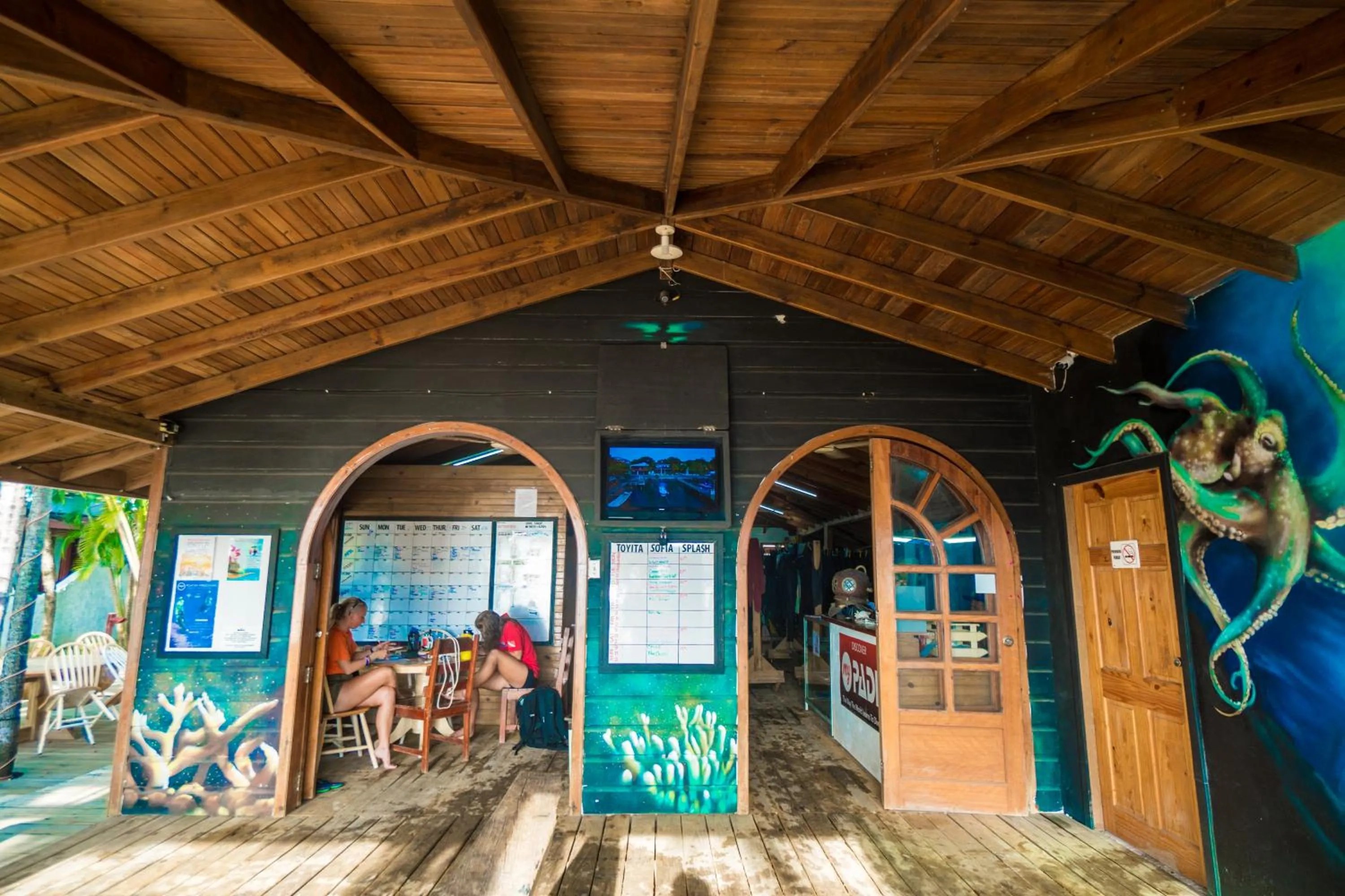 Snorkeling in Splash Inn Dive Resort & Villas