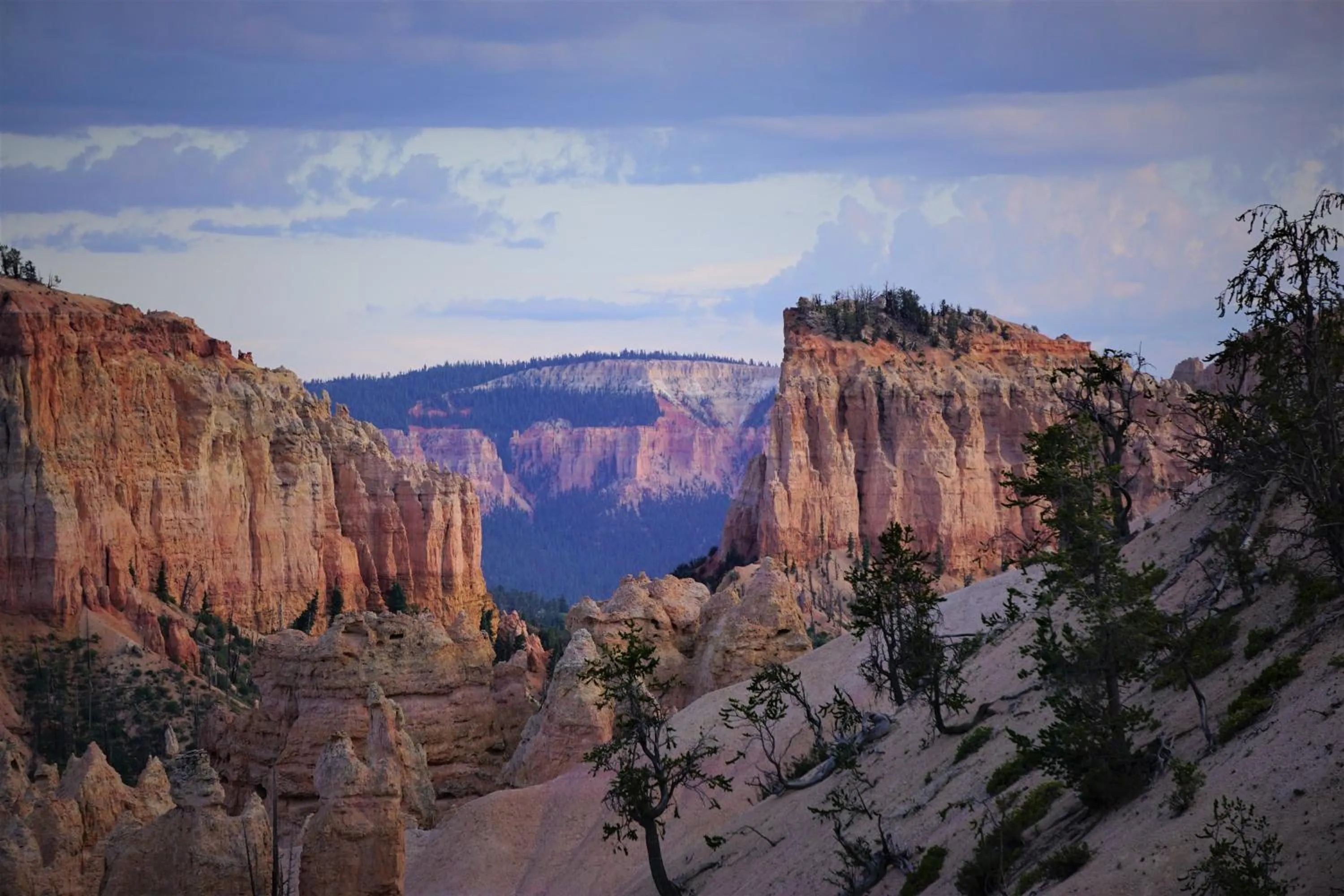 Natural landscape in Bybee's Steppingstone Motel