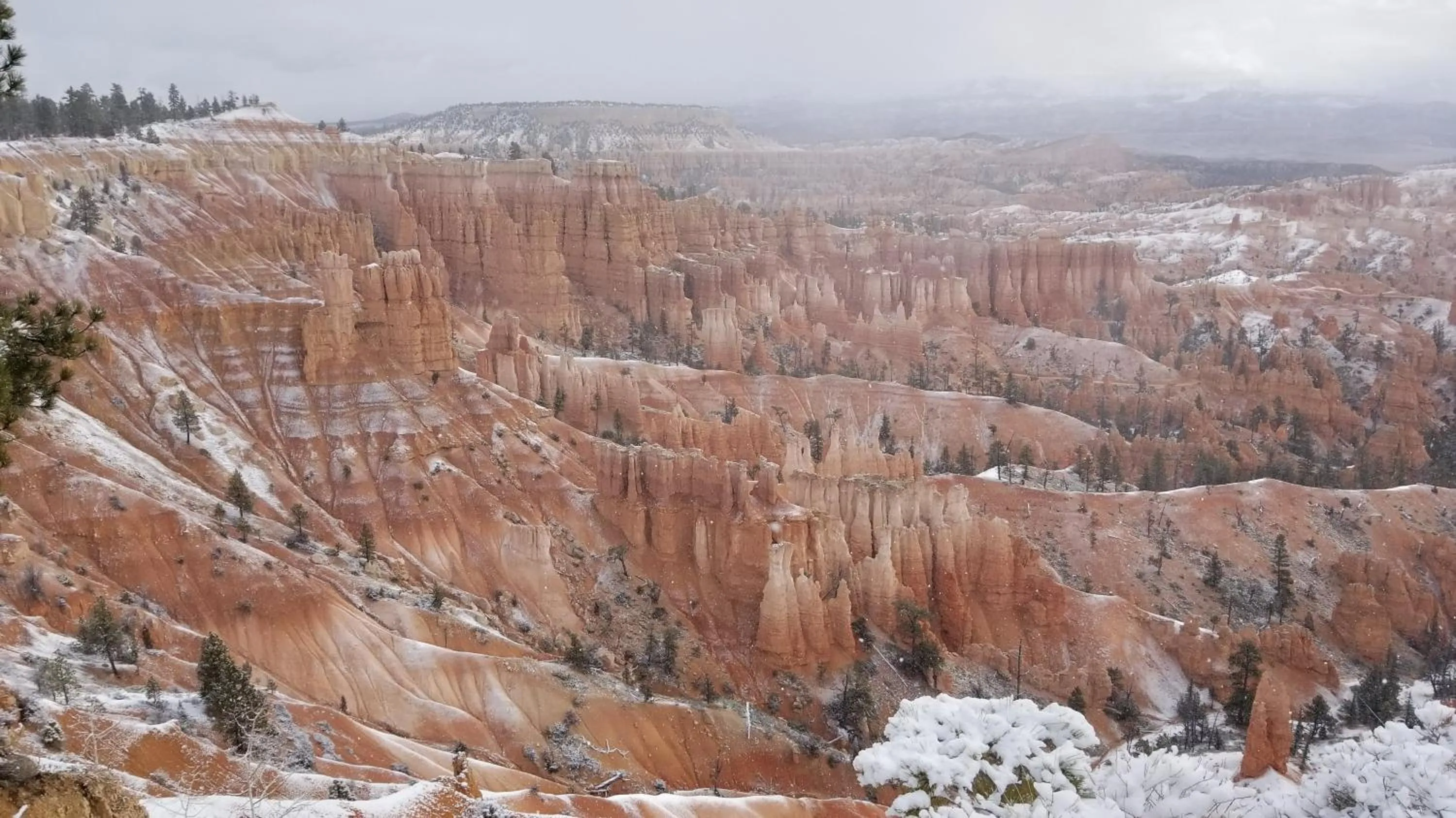 Natural landscape in Bybee's Steppingstone Motel