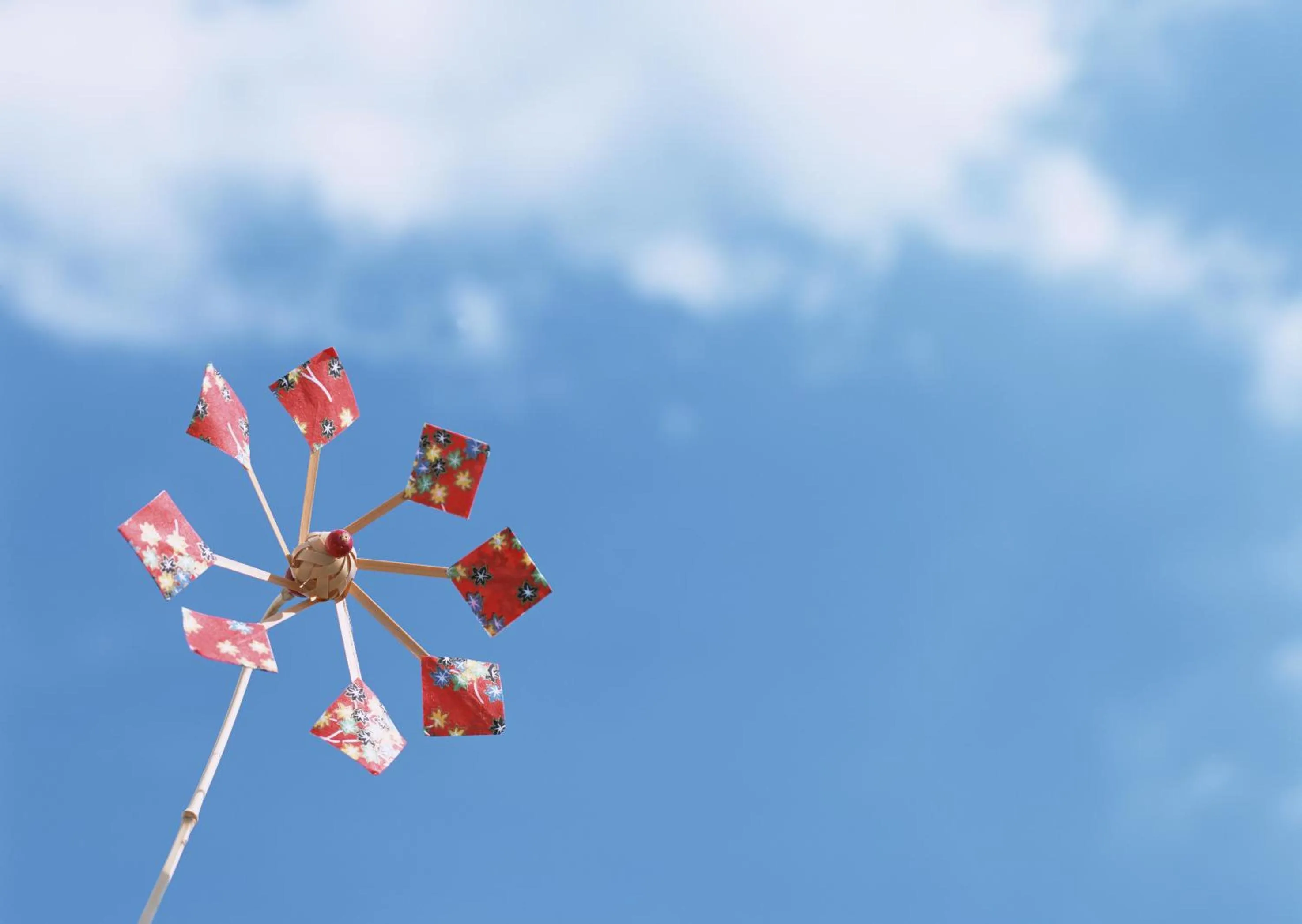 Day in Petit Resort Native Sea Amami