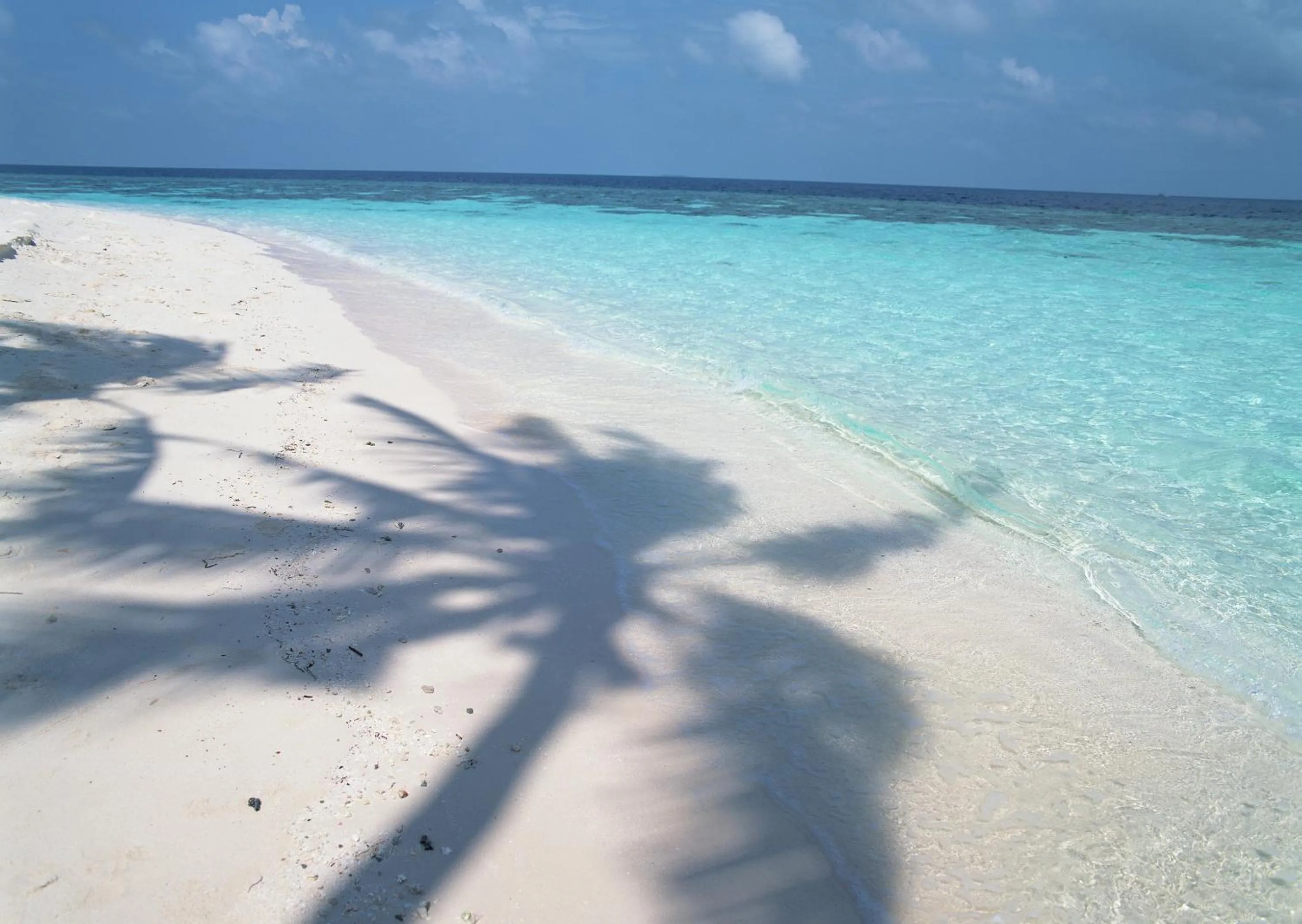 Day in Petit Resort Native Sea Amami