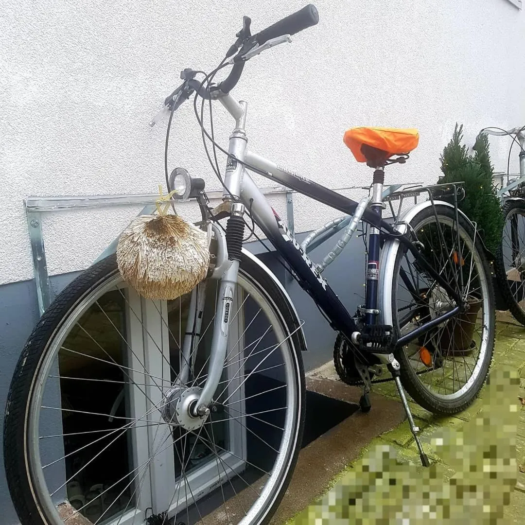 New Hostel Berlin Mitte FREE SNACK hot tea and coffee