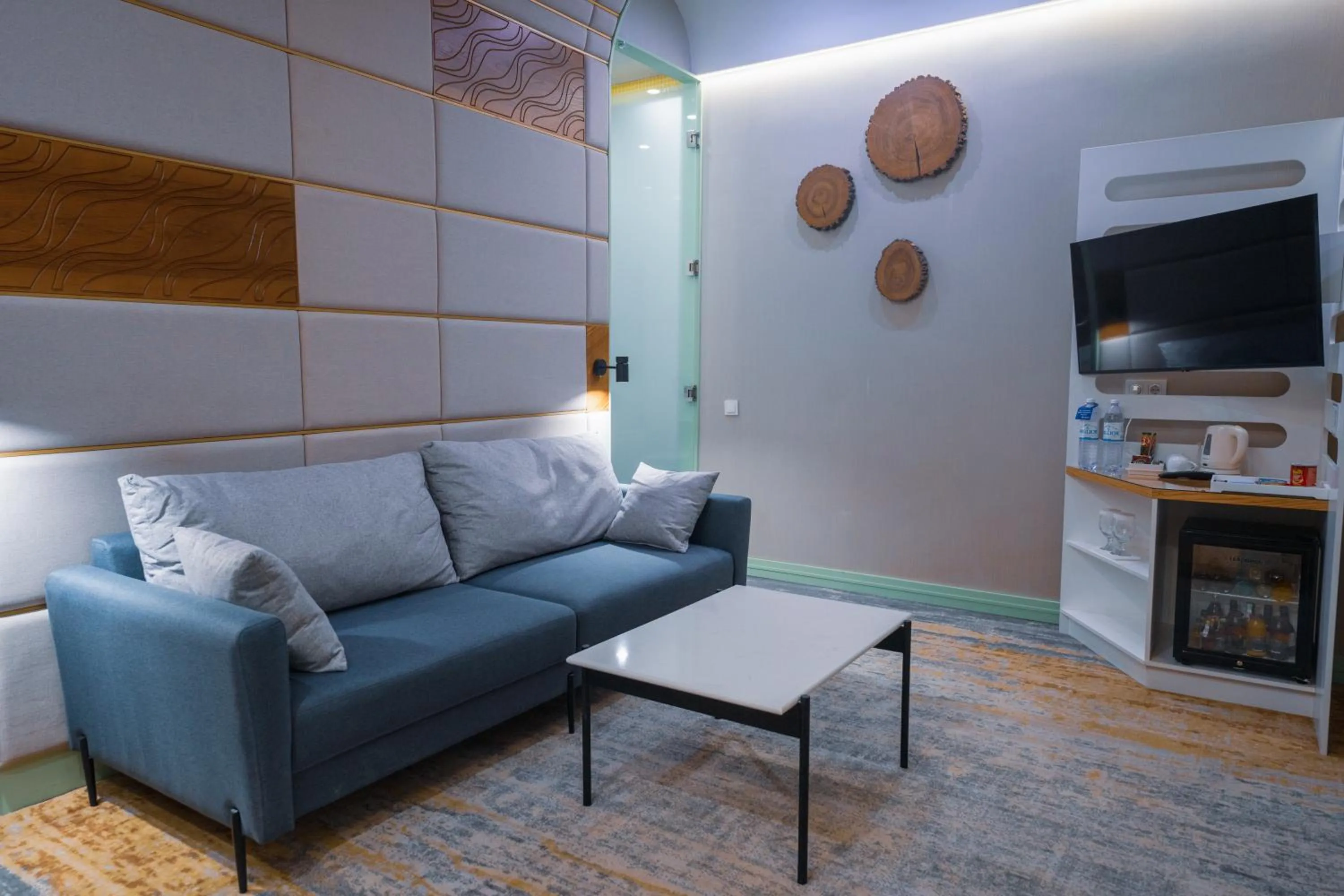 TV and multimedia in Kazzhol Park Hotel Almaty