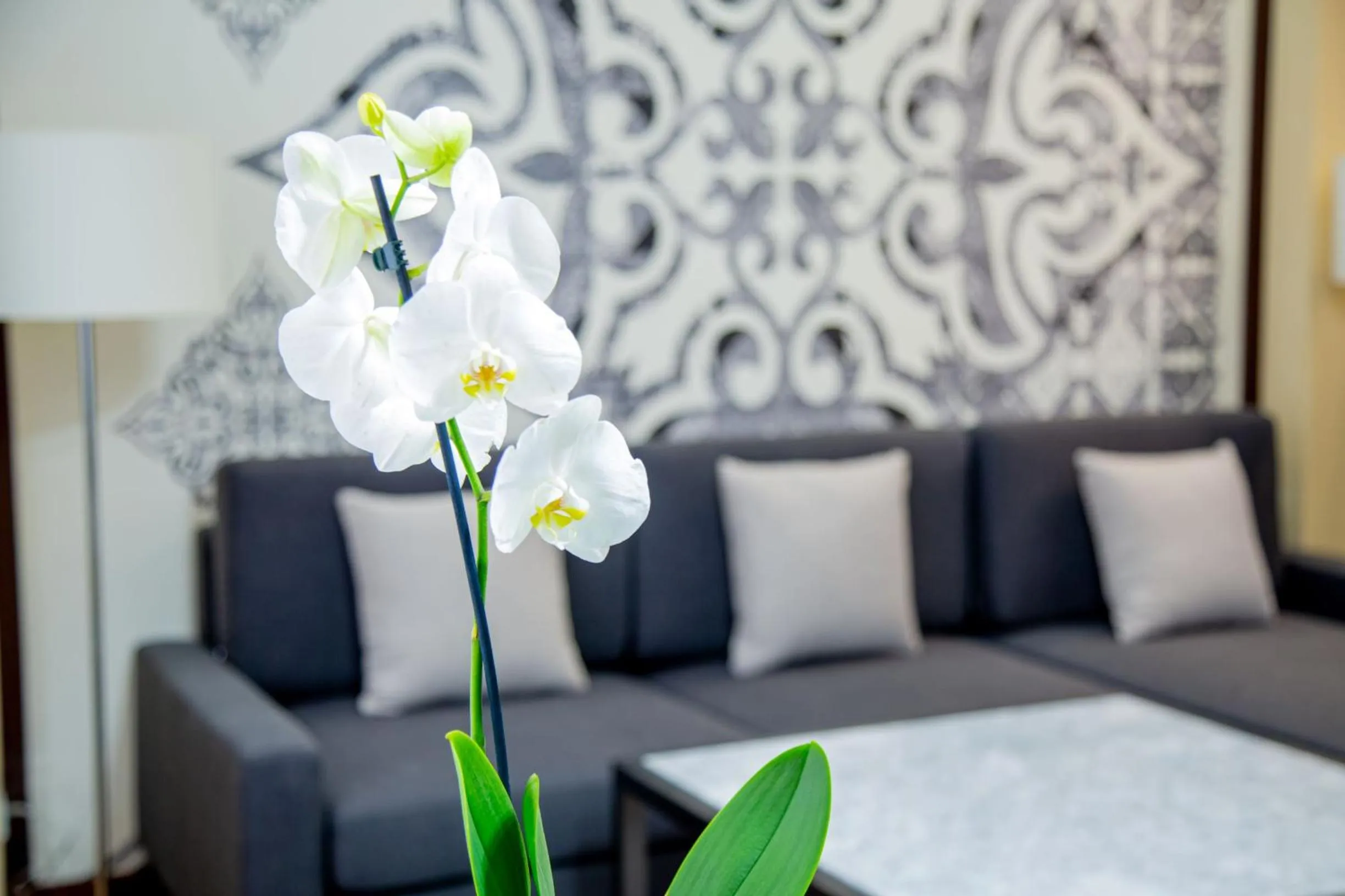 Living room, Bed in Kazzhol Park Hotel Almaty