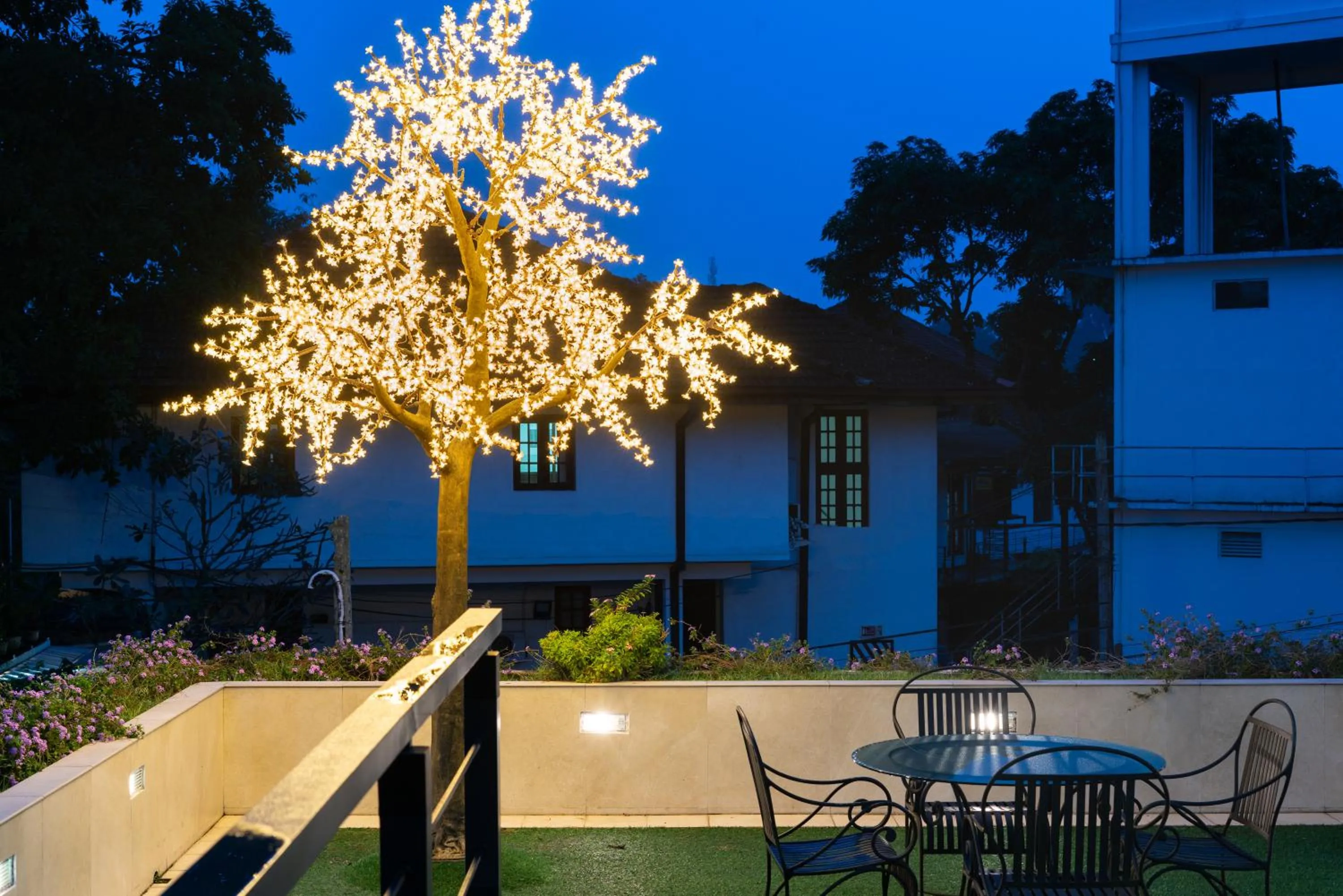 Night in Clove Villa