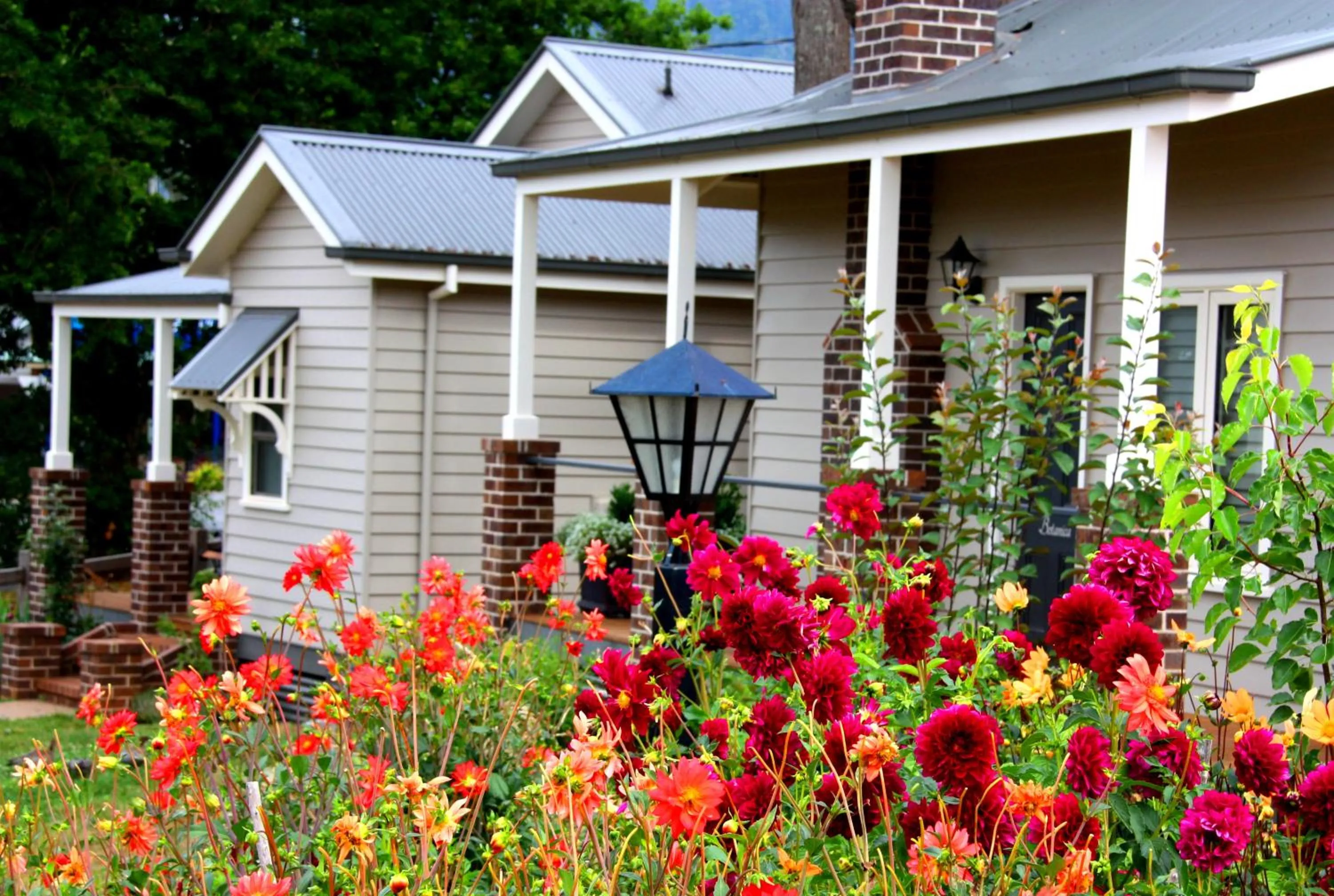 Garden in Marysville Garden Cottages