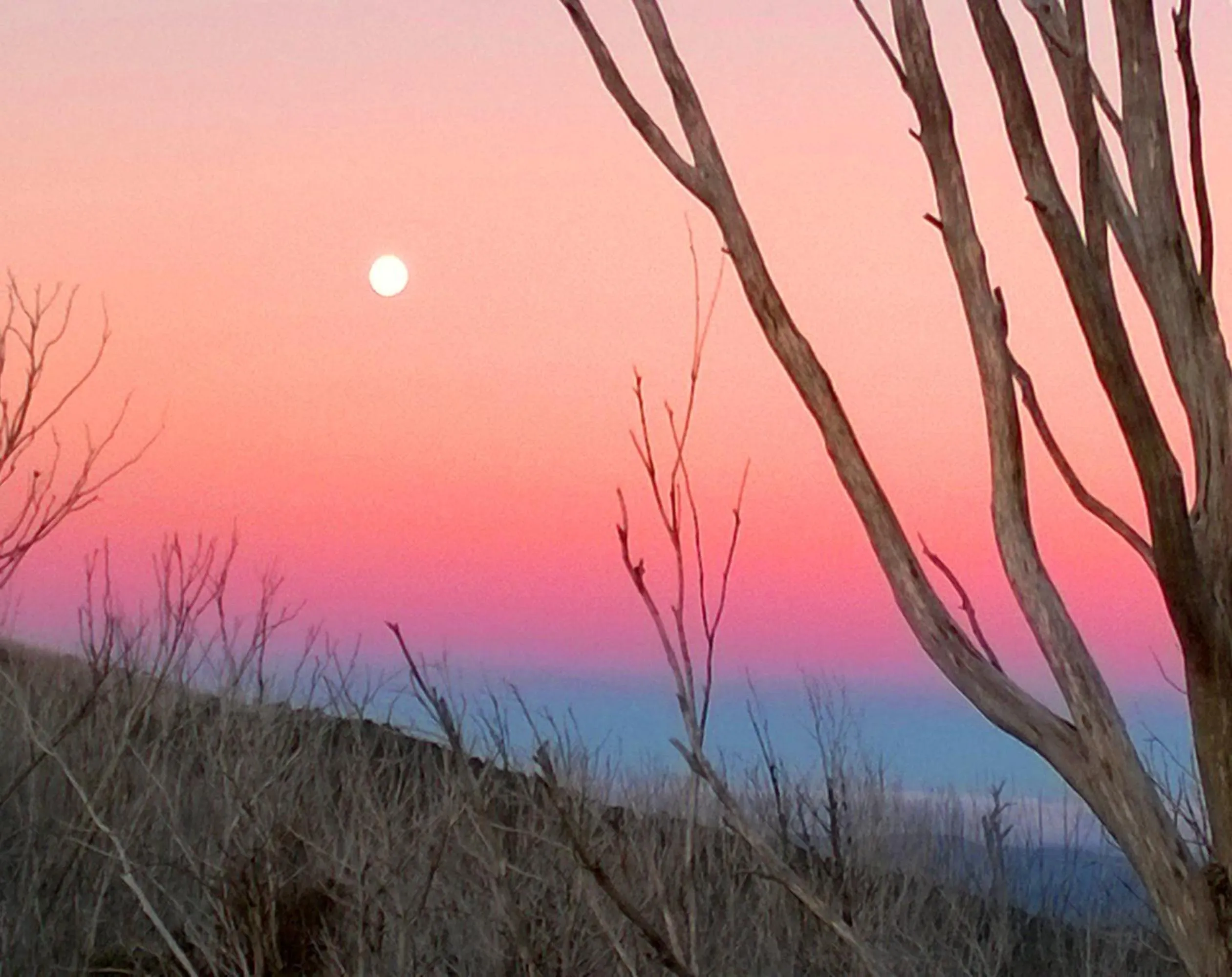 Mountain view in Marysville Garden Cottages