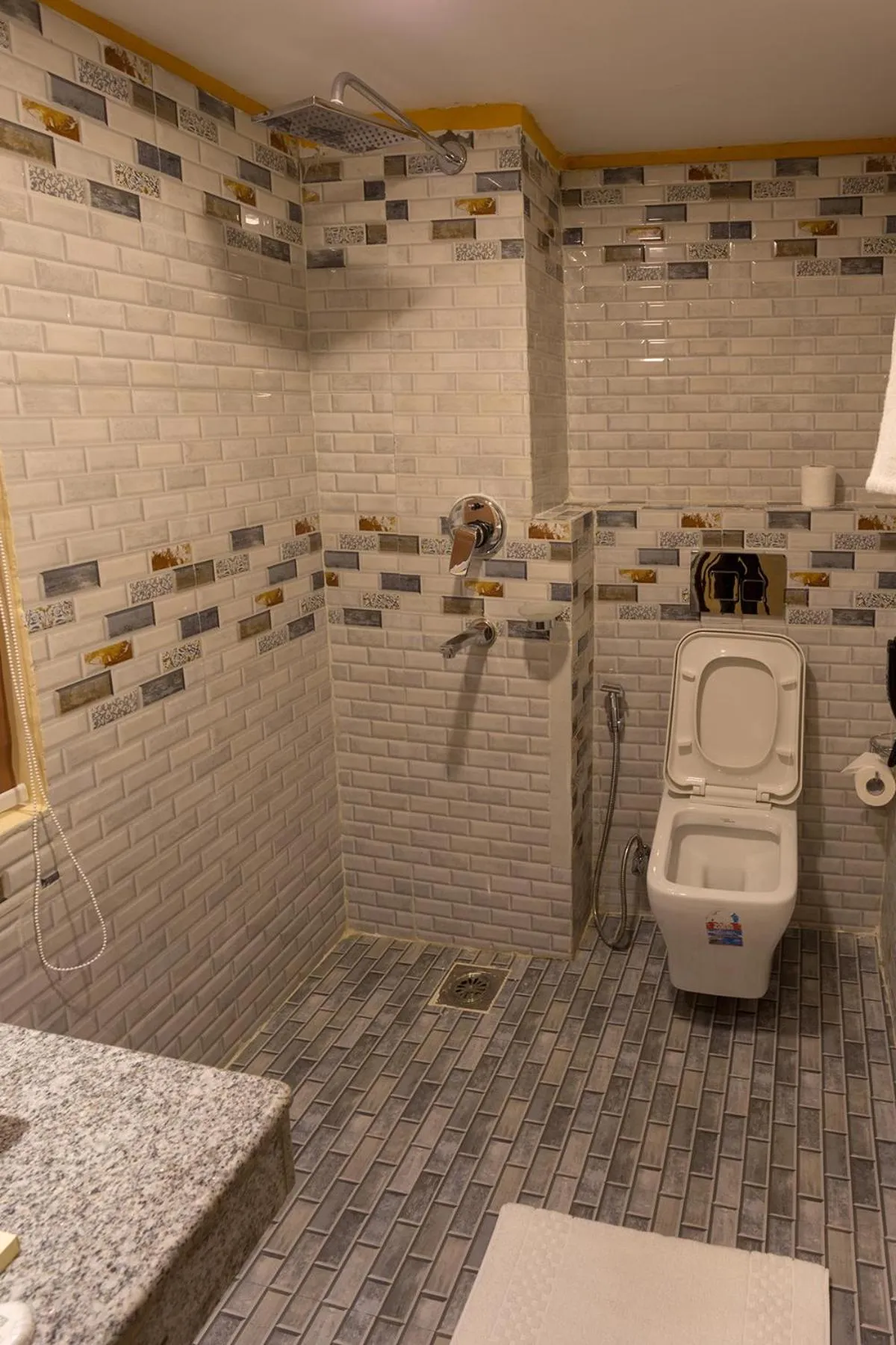 Toilet in Hotel Yellow Pagoda Pokhara