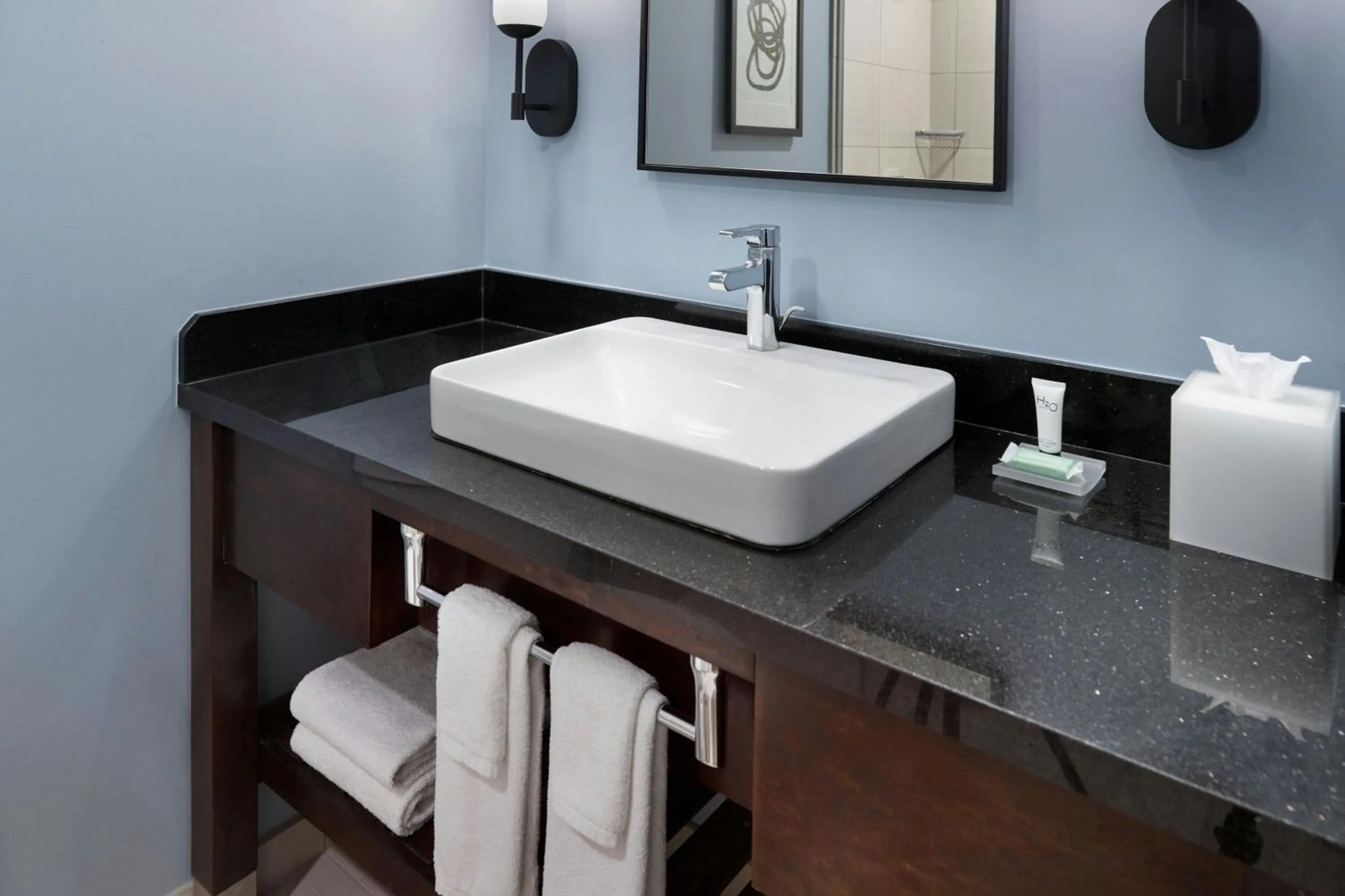 Bathroom in Courtyard by Marriott New Orleans French Quarter/Iberville