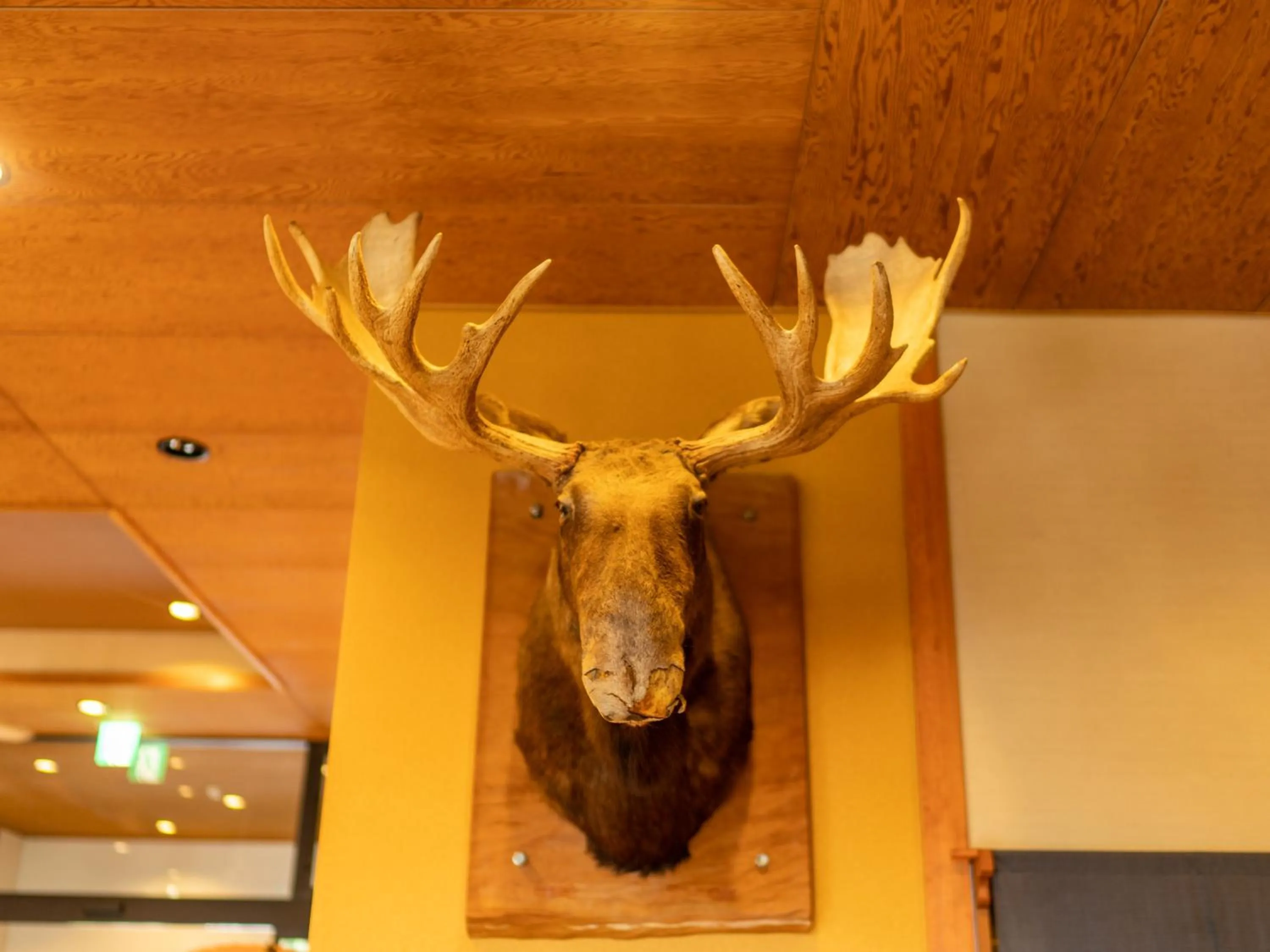 Decorative detail in Yawaragi-no-Sato Yadoya