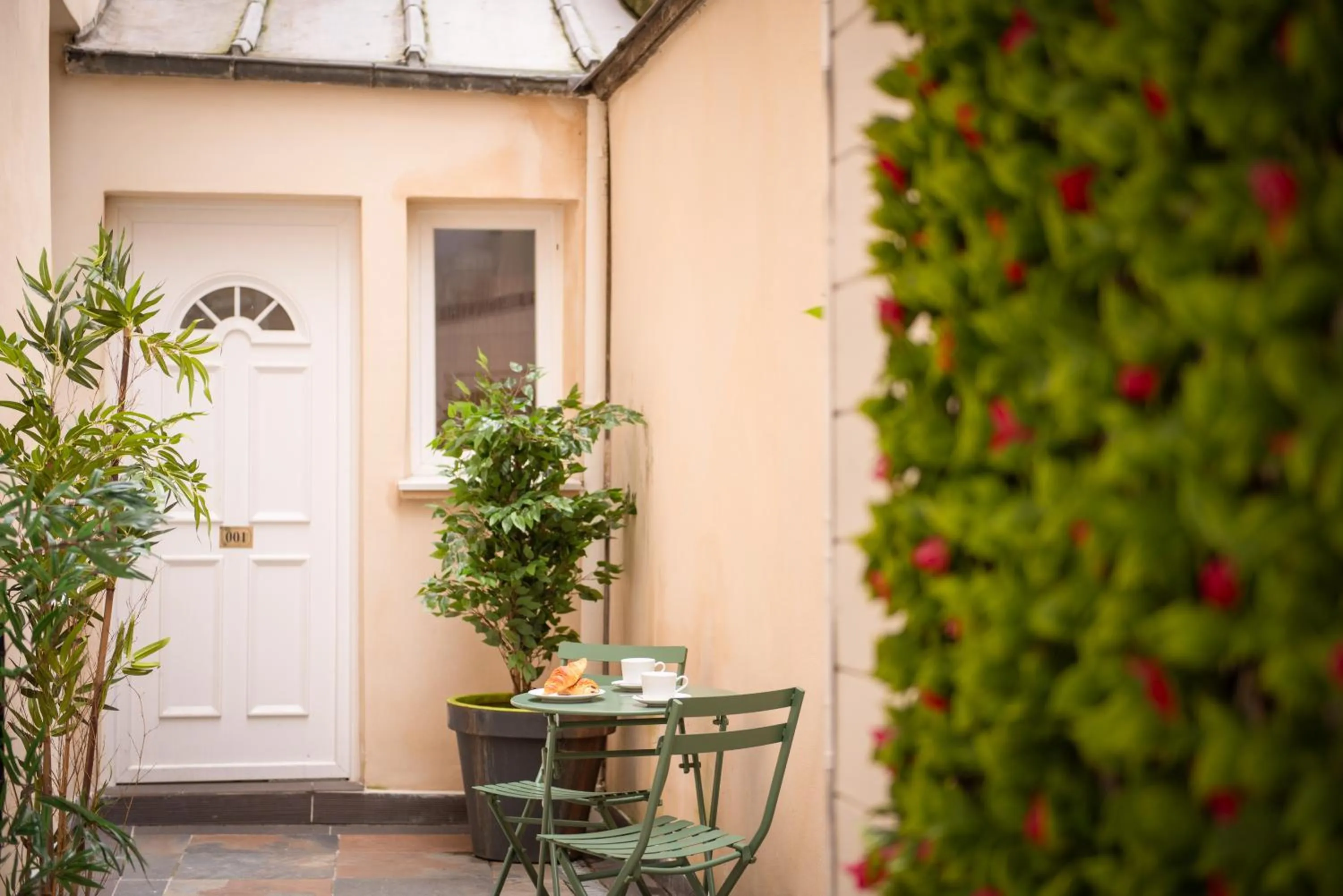 Balcony/Terrace in Hotel Cactus