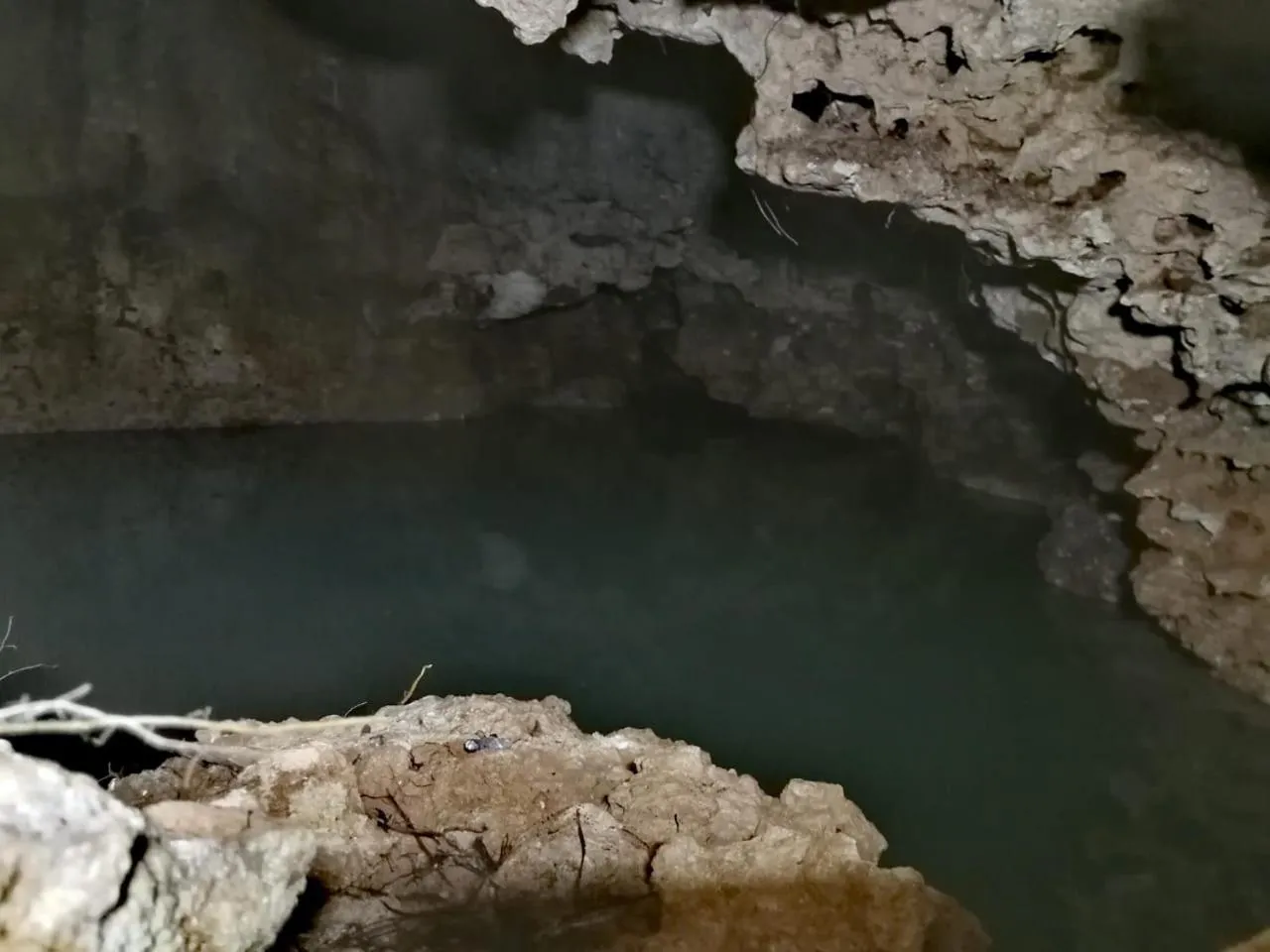 Natural landscape in Aldea Maya-Ha Cabañas con cenotes