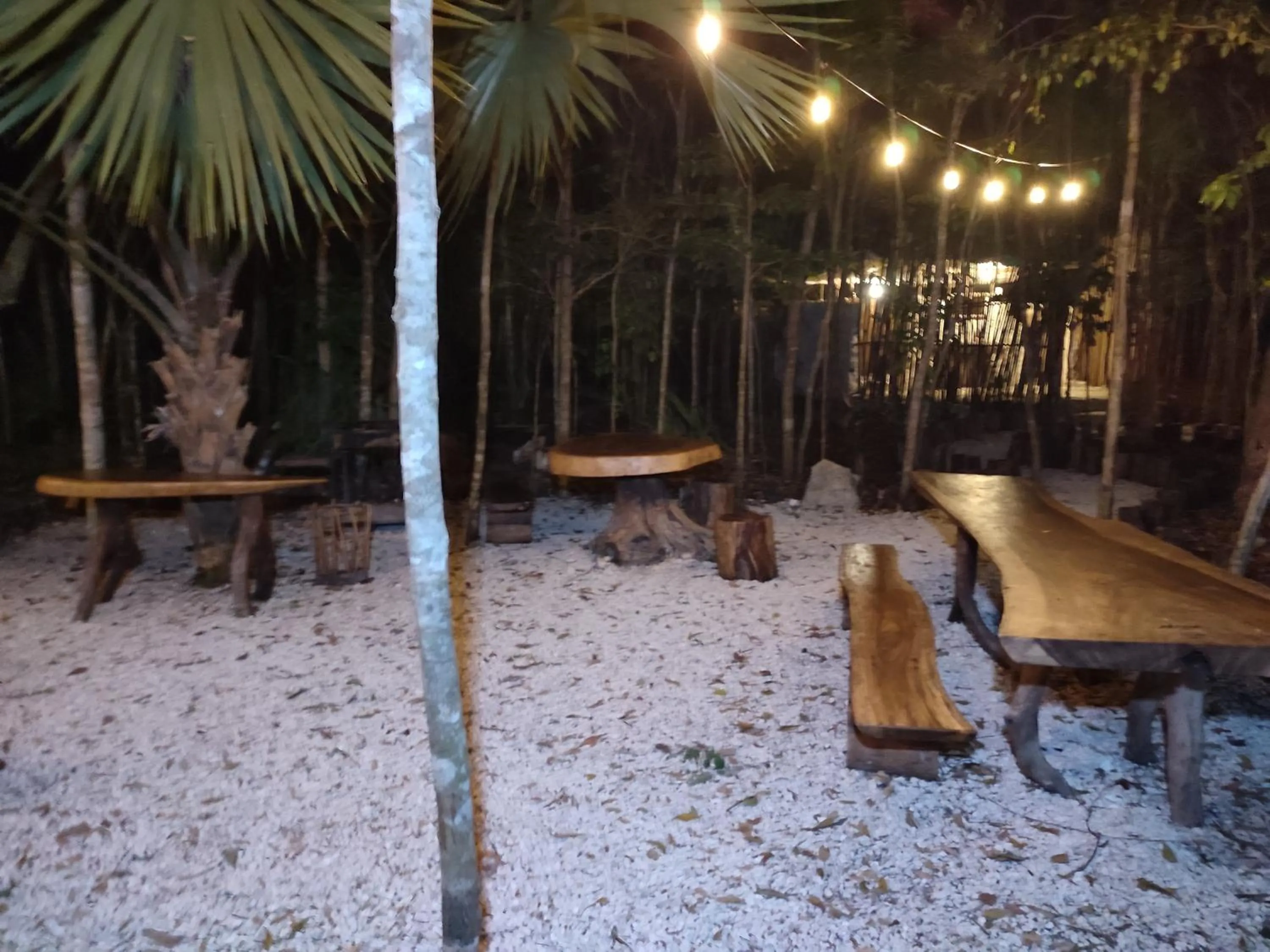 Patio in Aldea Maya-Ha Cabañas con cenotes