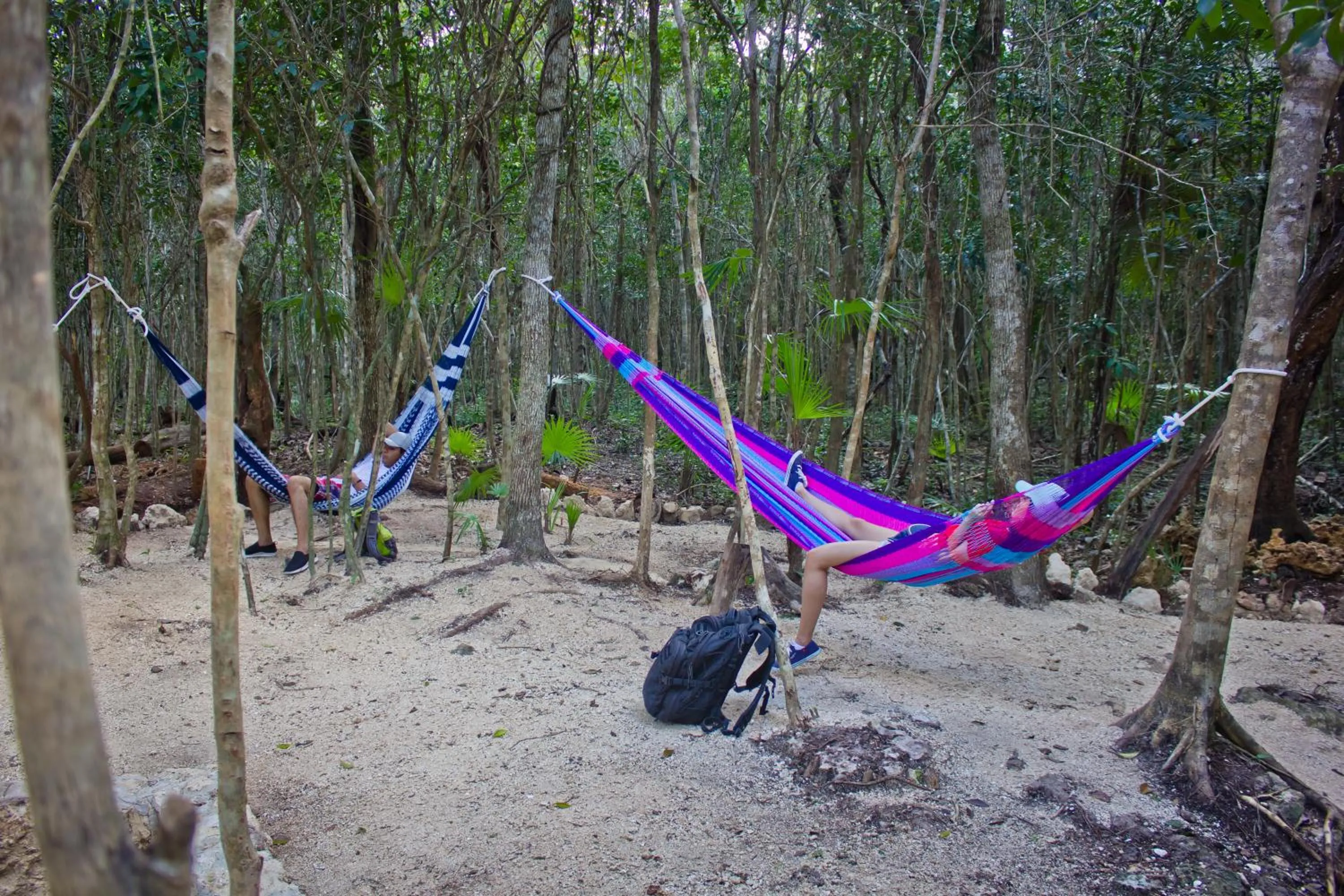 Natural landscape in Aldea Maya-Ha Cabañas con cenotes