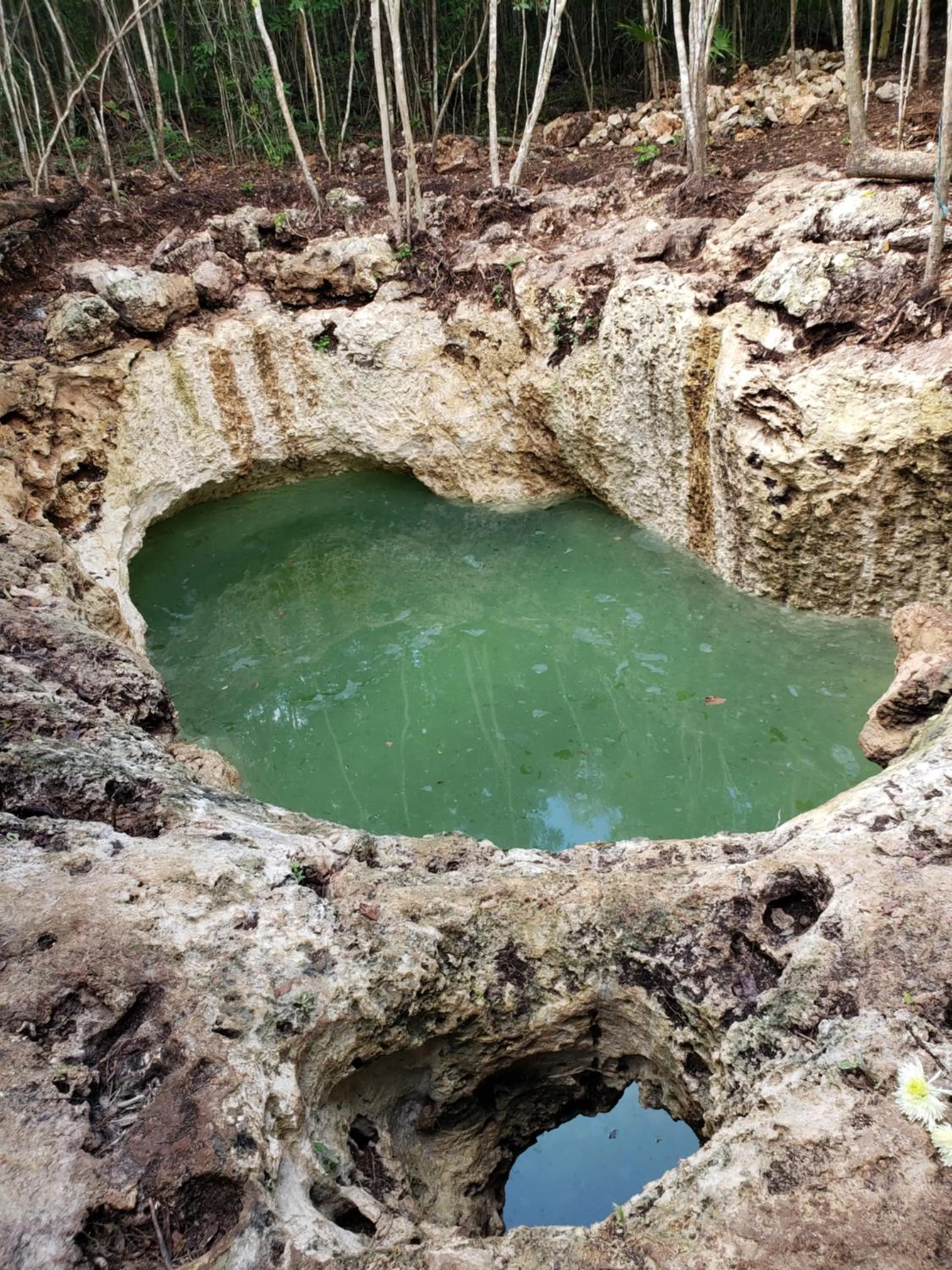 Natural landscape in Aldea Maya-Ha Cabañas con cenotes